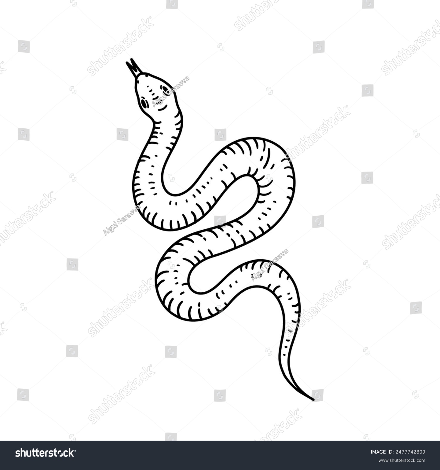 recommend clip art: Snake in line style. Hand drawn vector illustration.