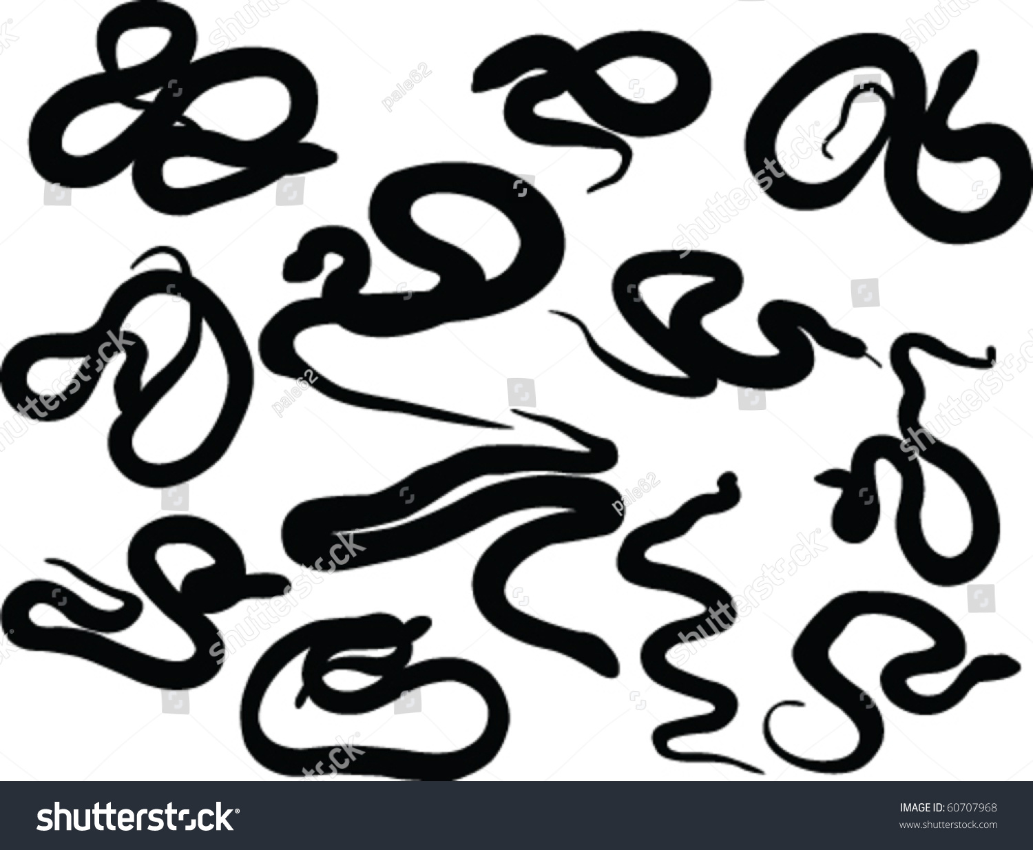 Snake Silhouette Collection - Vector - 60707968 : Shutterstock