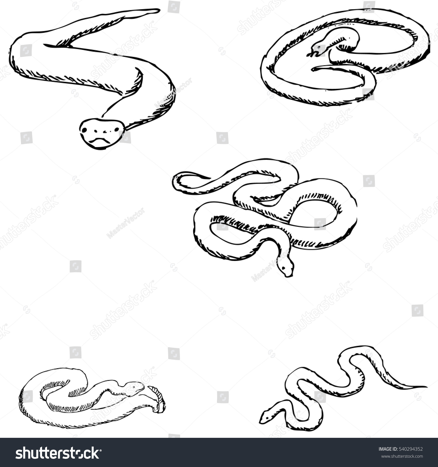 Snakes Sketch By Hand Pencil Drawing Stock Vector (Royalty Free) 540294352