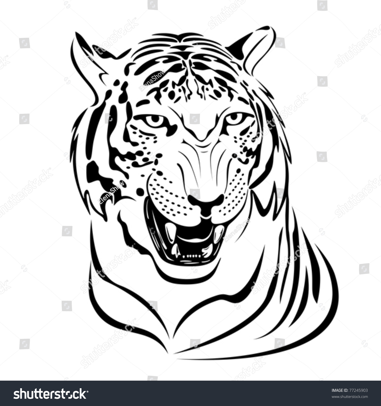 Snarling Tiger'S Head Illustration In Black Lines - 77245903 : Shutterstock