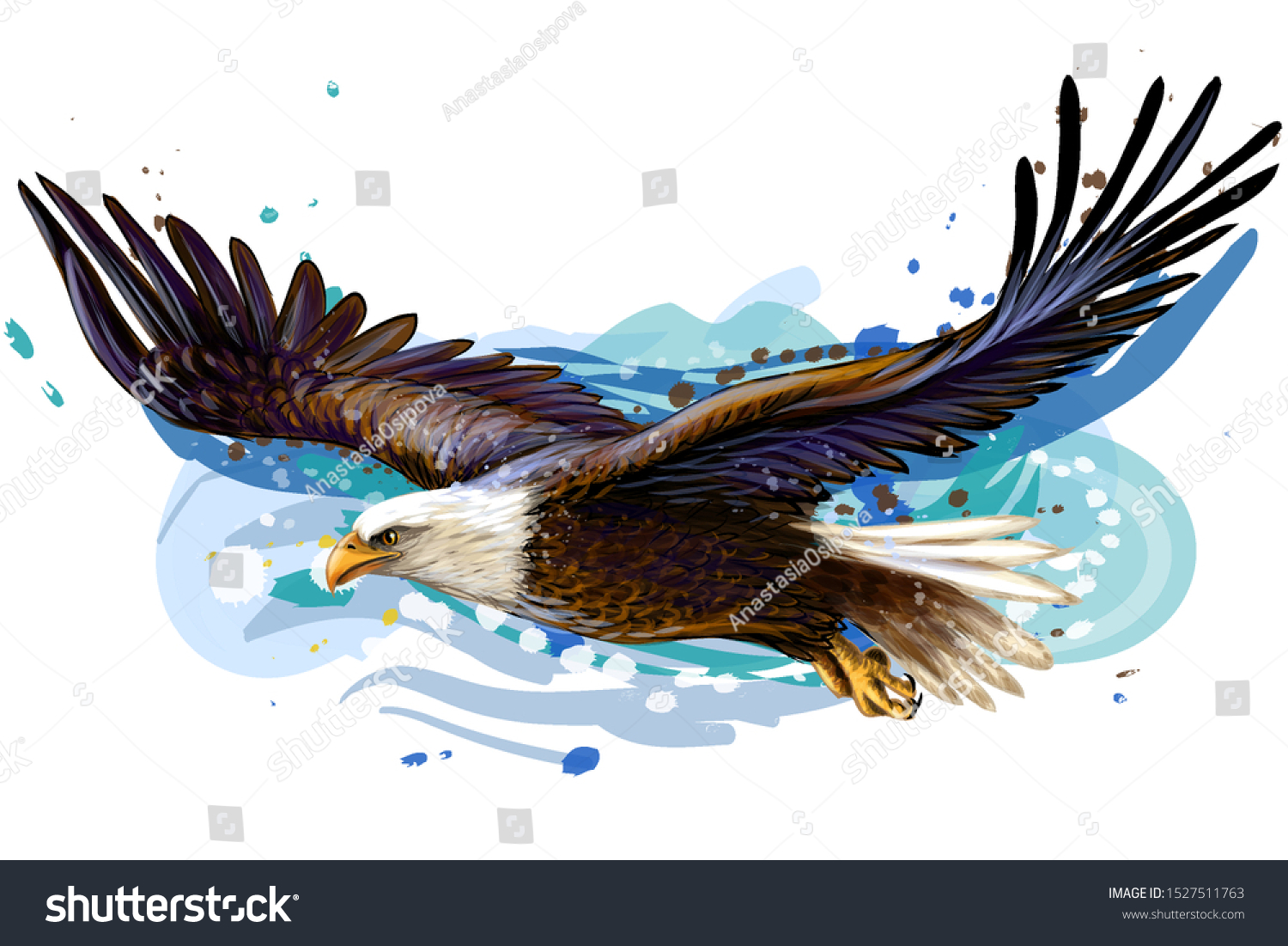 Vektor Stok Soaring Bald Eagle Color Realistic Art Tanpa Royalti 1527511763