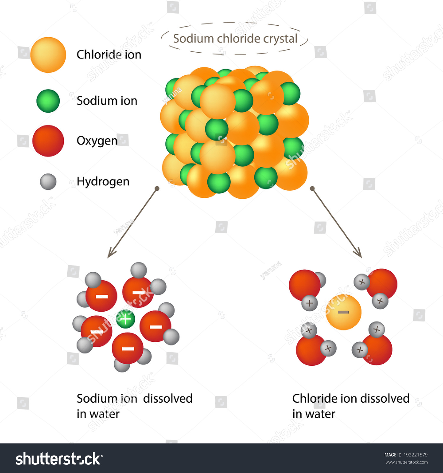 Sodium Chloride Crystal Stock Vector 192221579 - Shutterstock