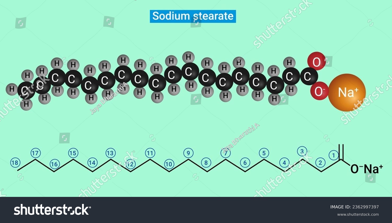 SVG of Sodium stearate is the most common fatty acid salt in today's soaps. svg