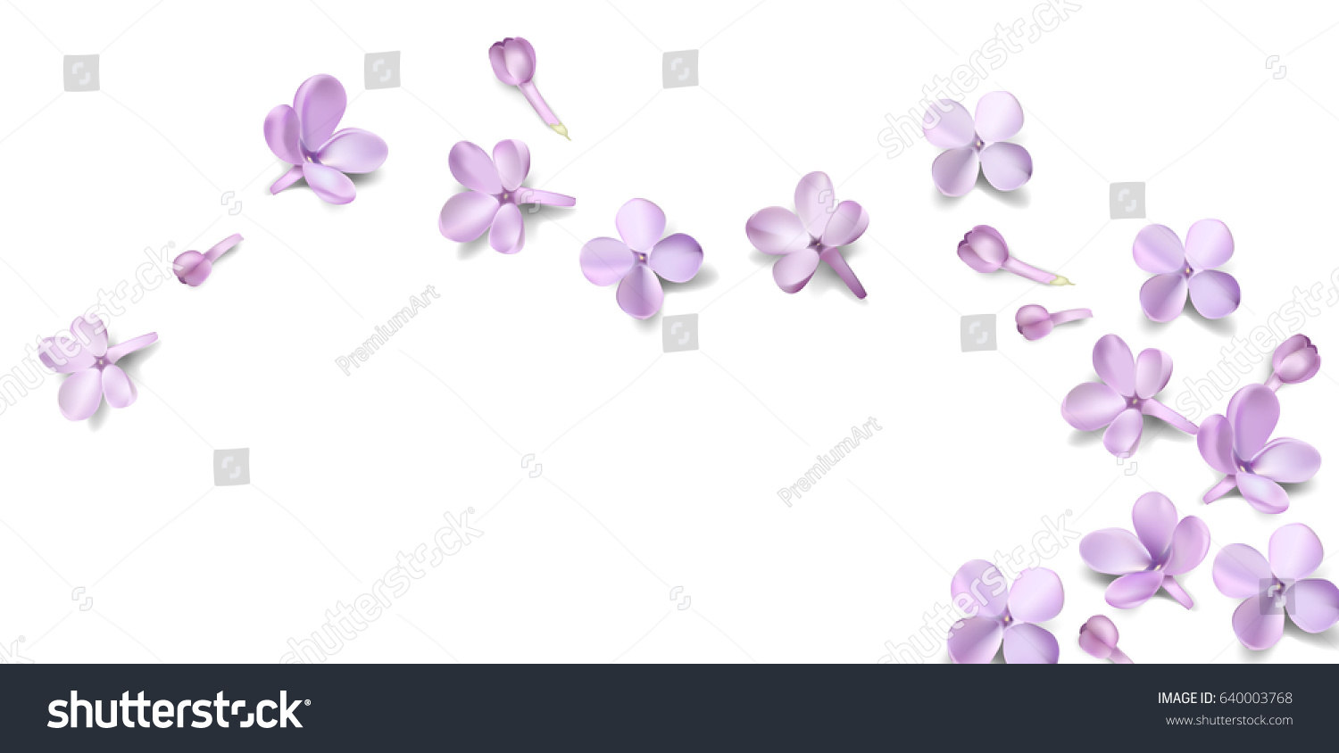 SVG of Soft pastel color floral background with place for text. Purple Lilac flowers and petals watercolor style vector illustration template svg