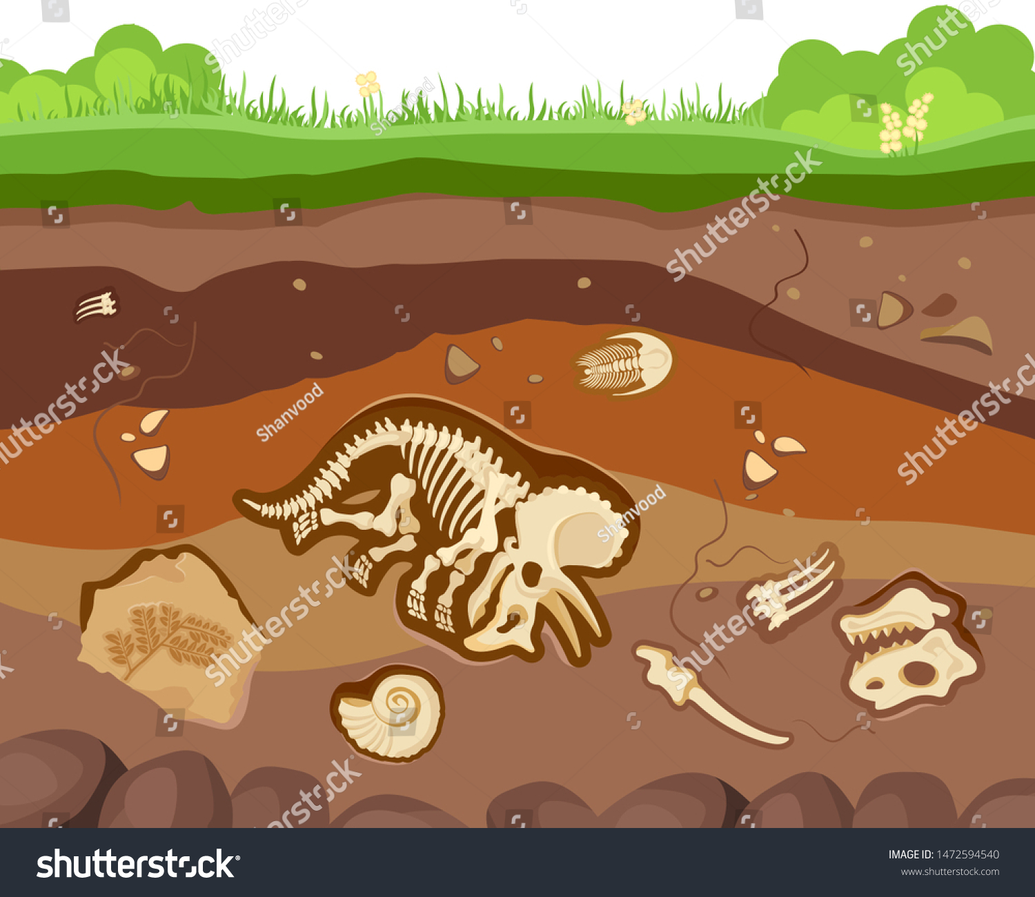 化石動物 恐竜 甲殻類 骨が埋まった土の層 ベクターフラットスタイルの漫画のイラスト のベクター画像素材 ロイヤリティフリー