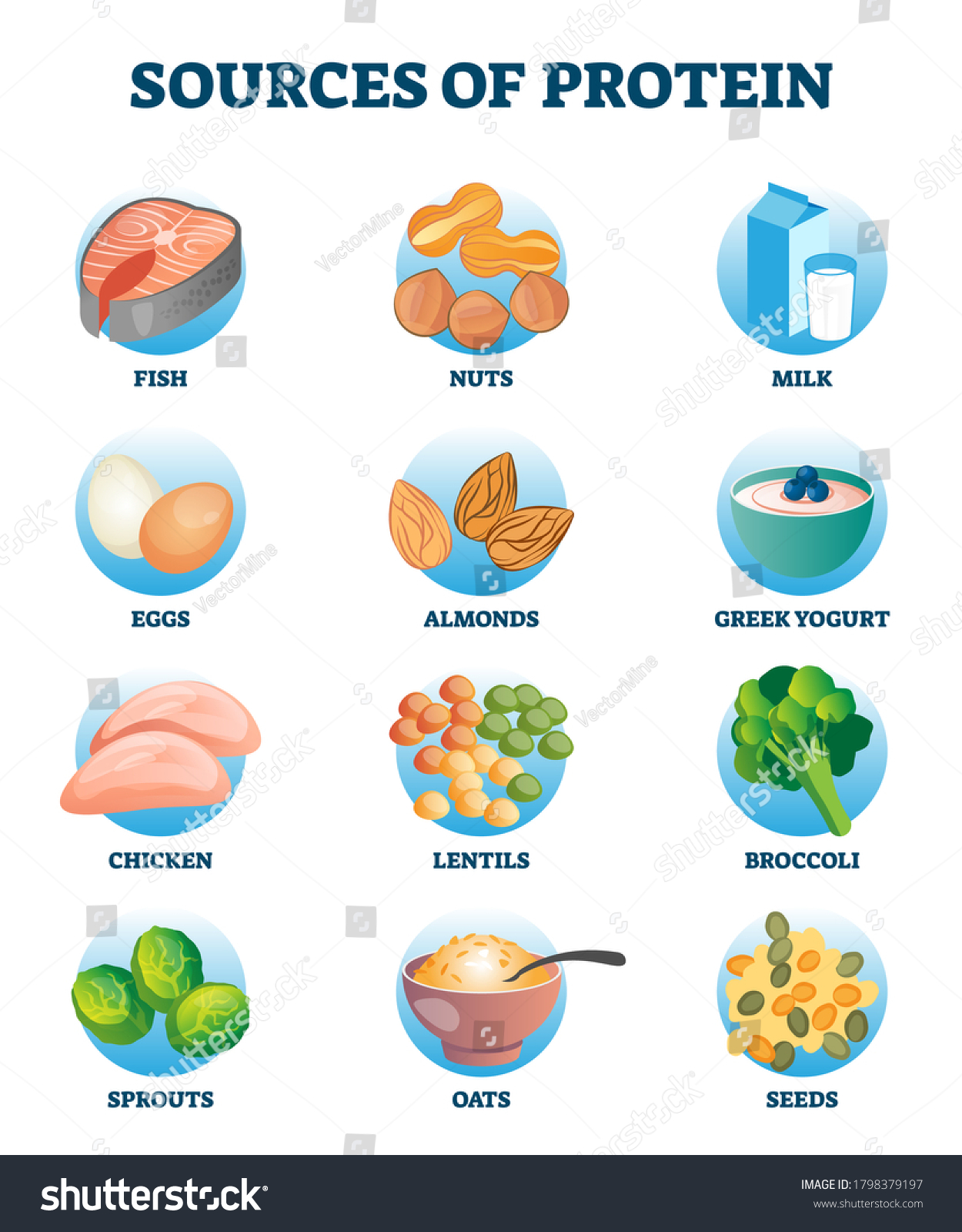 1,673 Nuts yogurt Stock Vectors, Images & Vector Art | Shutterstock