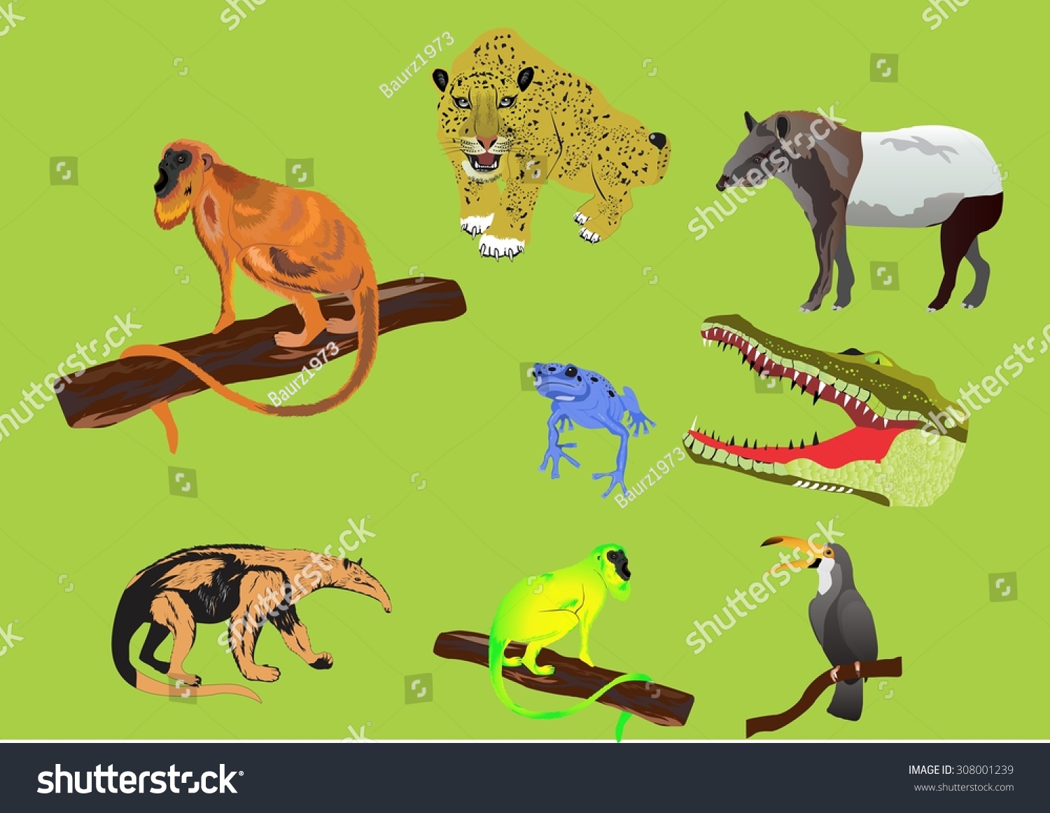 South American Jungles Animals Set Stock Vector (Royalty Free ...