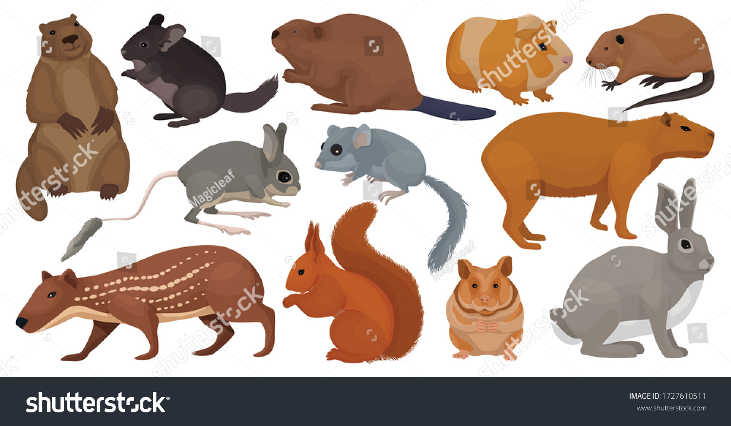 species-rodents-vector-cartoon-set-icon-1727610511-shutterstock