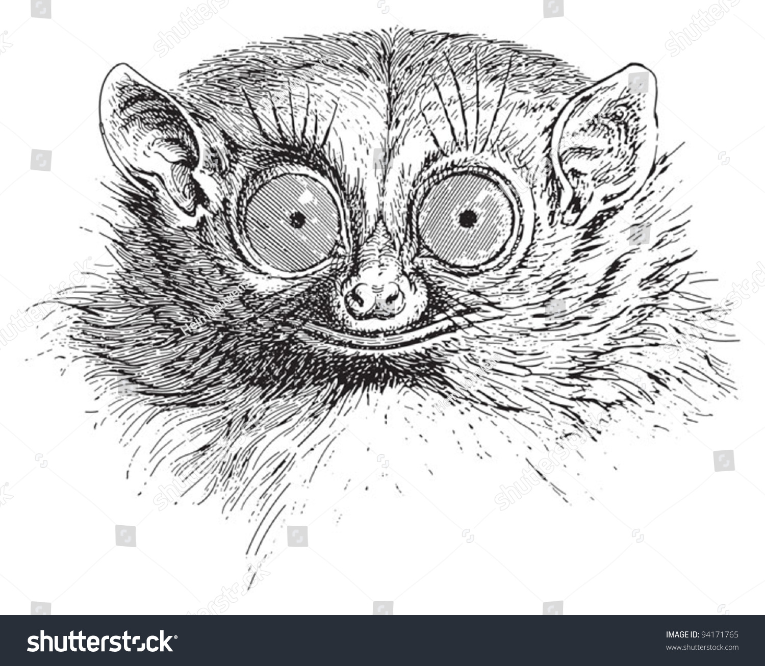 Spectral Tarsier (Tarsius Tarsier) / Vintage Illustration From Meyers ...