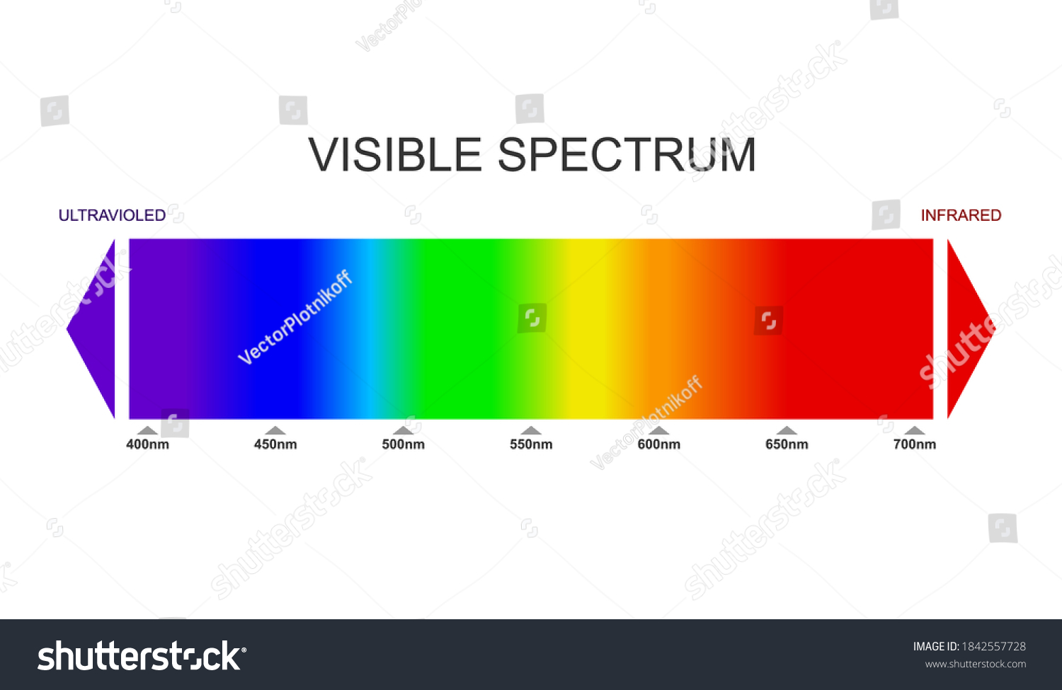 Spectrum Visible Light Diagram Portion Electromagnetic Stock Vector