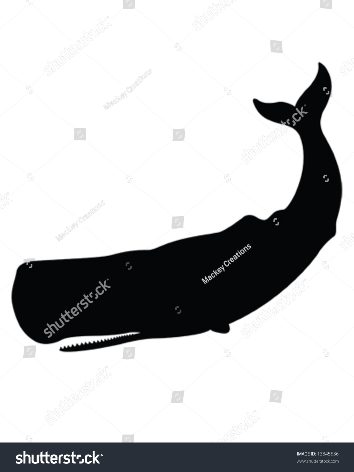Something is. Sperm whale illustrations the Commit error. Sperm whale illustrations for