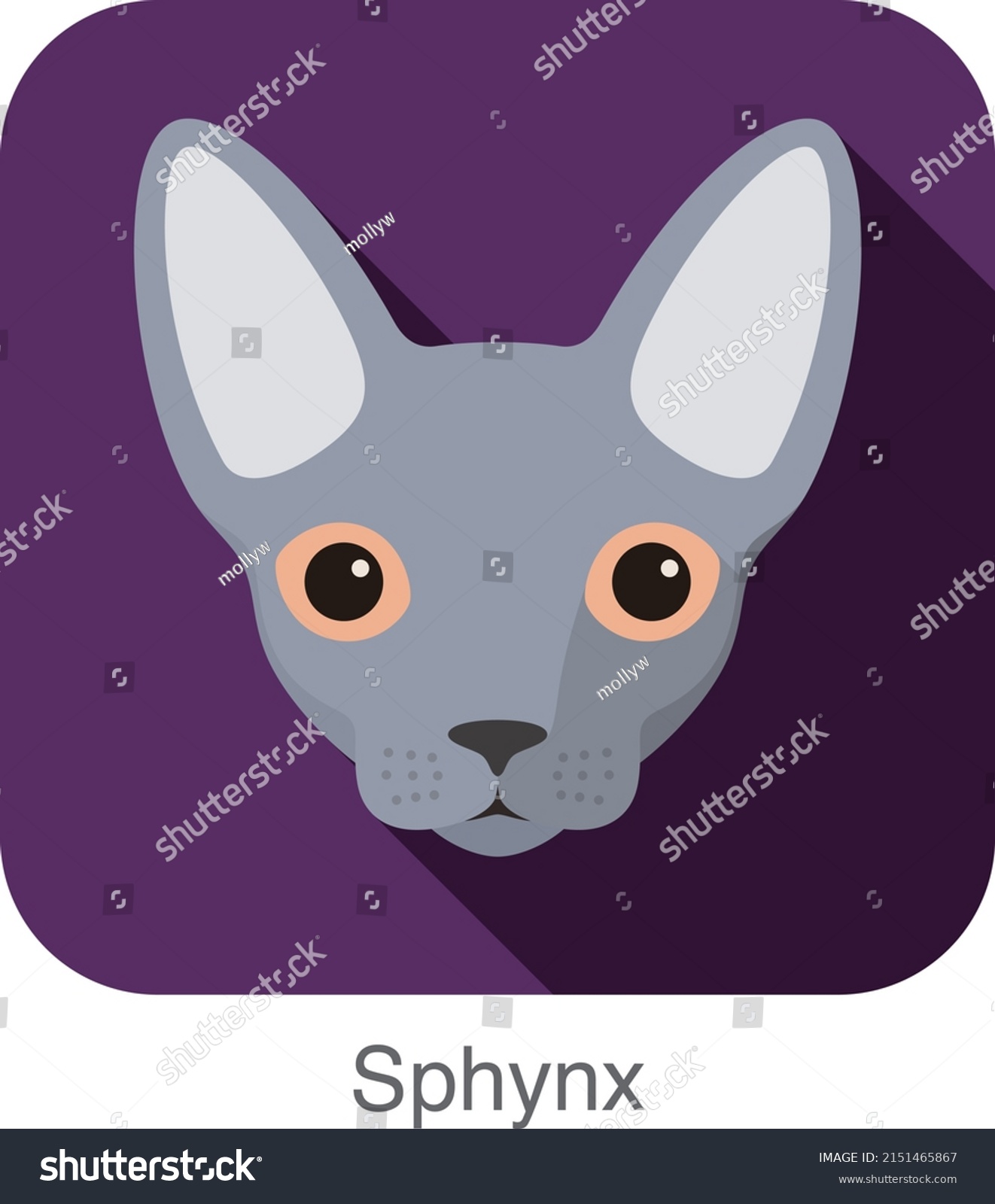 Sphynx Cat Breed Face Cartoon Flat Stock Vector (Royalty Free ...