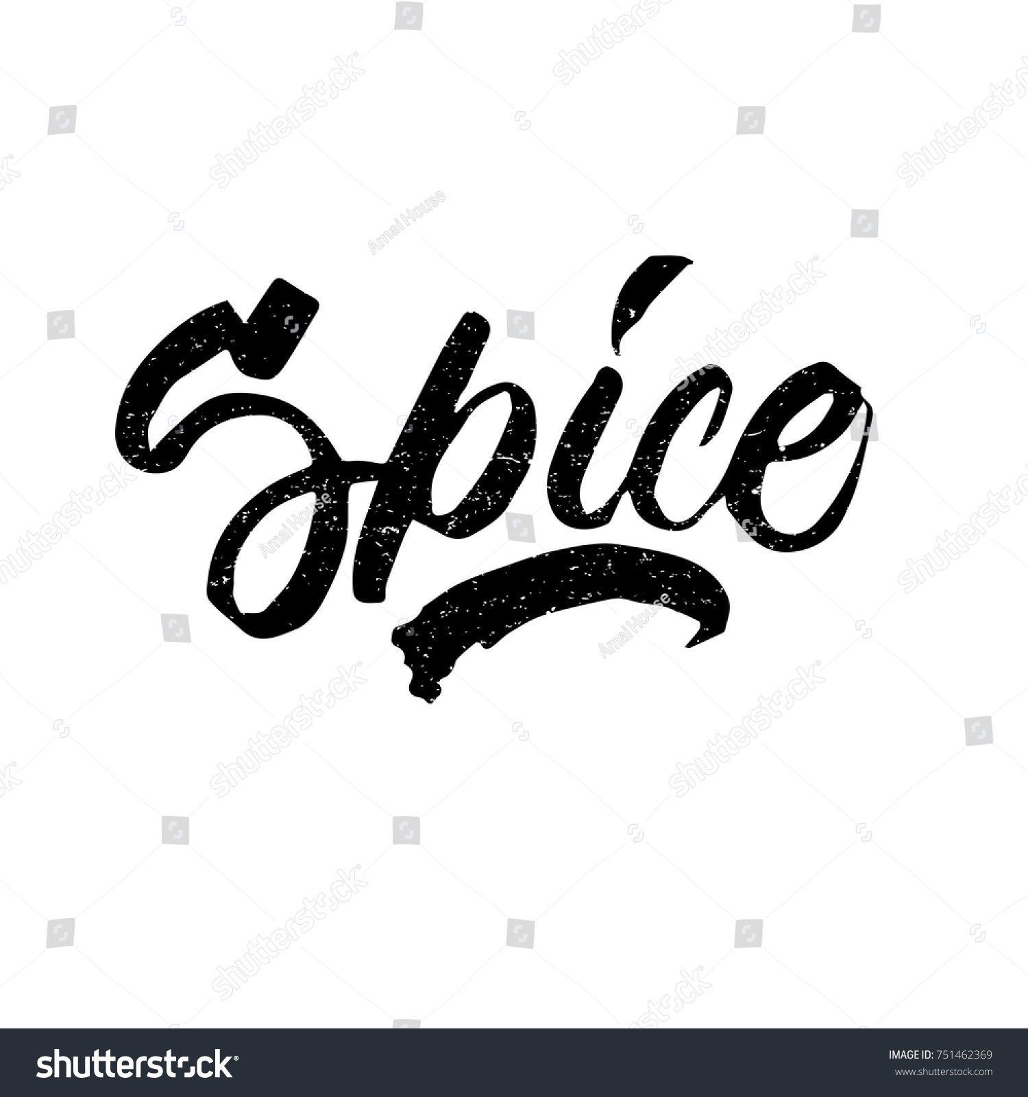 Spice Ink Hand Lettering Modern Brush Stock Vector (Royalty Free) 751462369