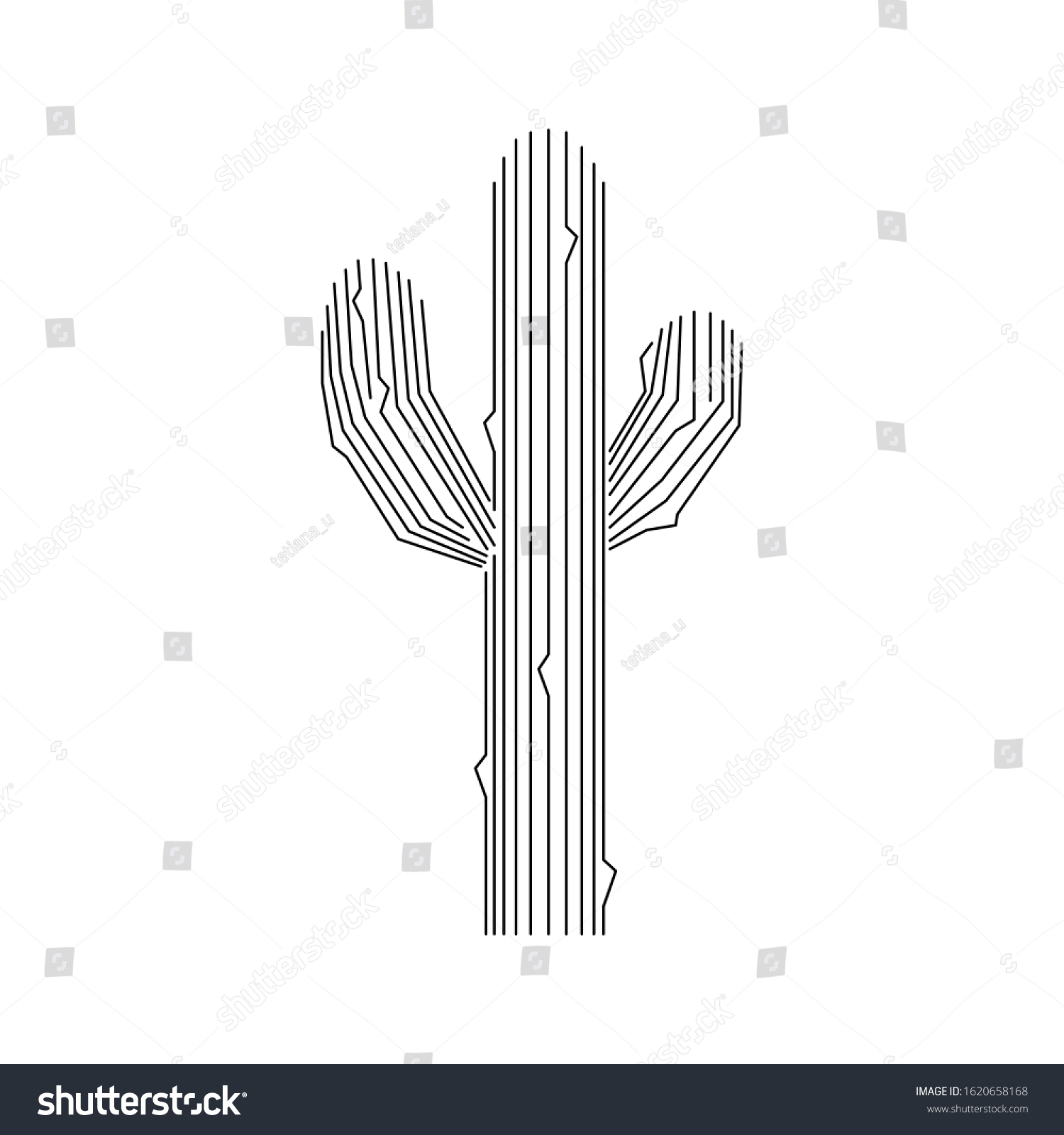 SVG of Spiny cactus design. Black lines isolated on white background. Vector illustration svg