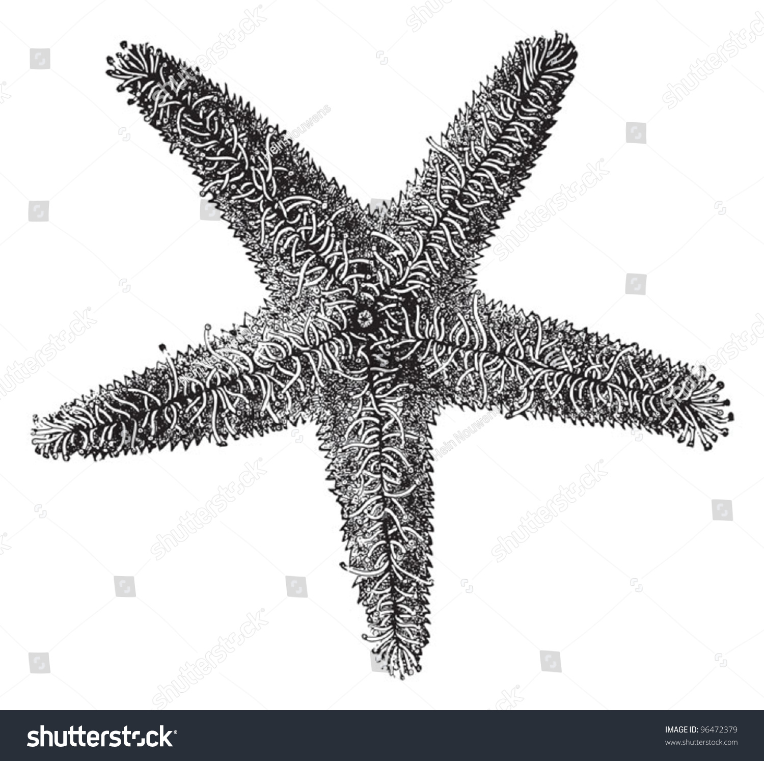 Black white sea creatures Images, Stock Photos & Vectors | Shutterstock