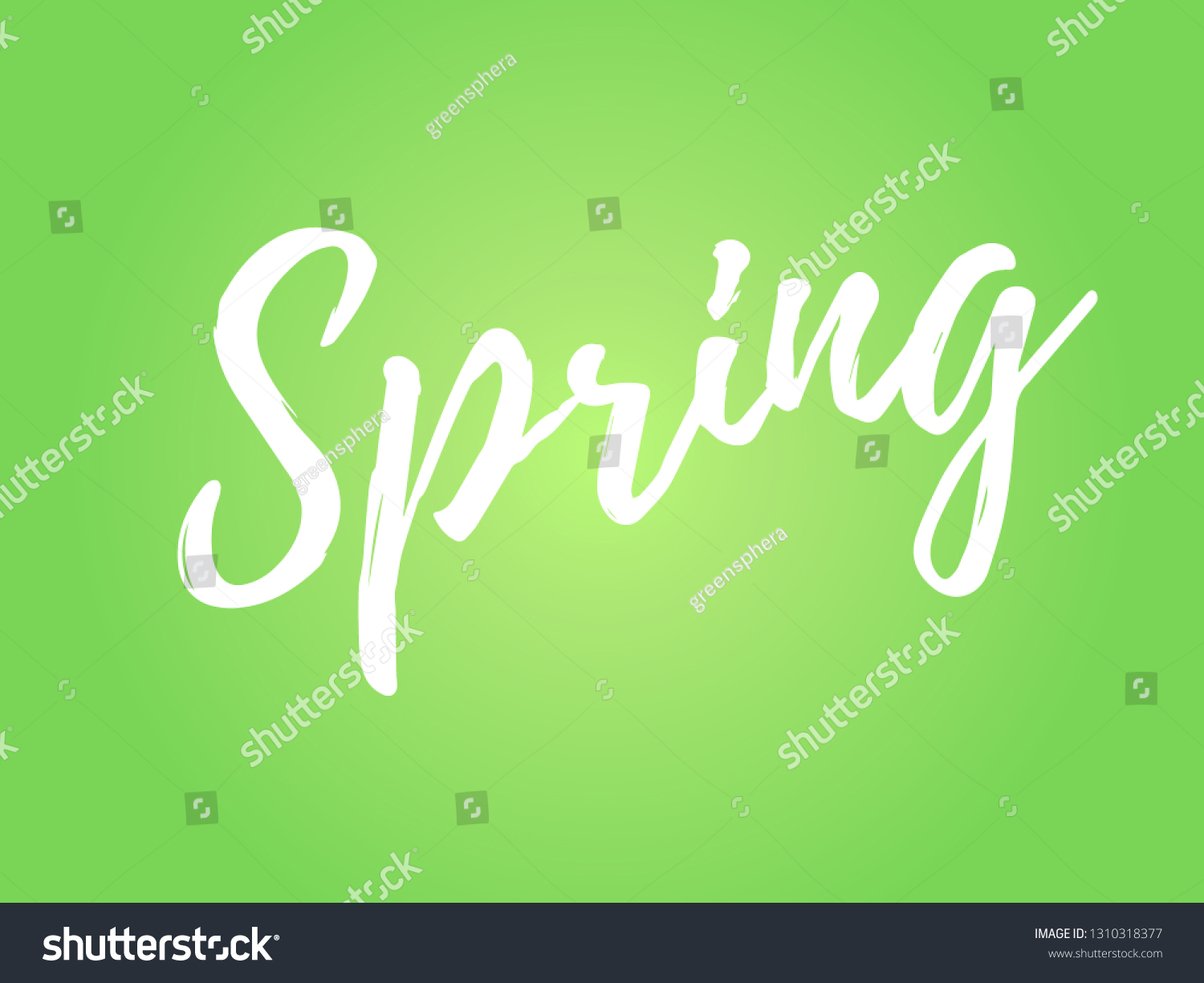 Spring Calligraphic Lettering White Text On Stock Vector (Royalty Free ...