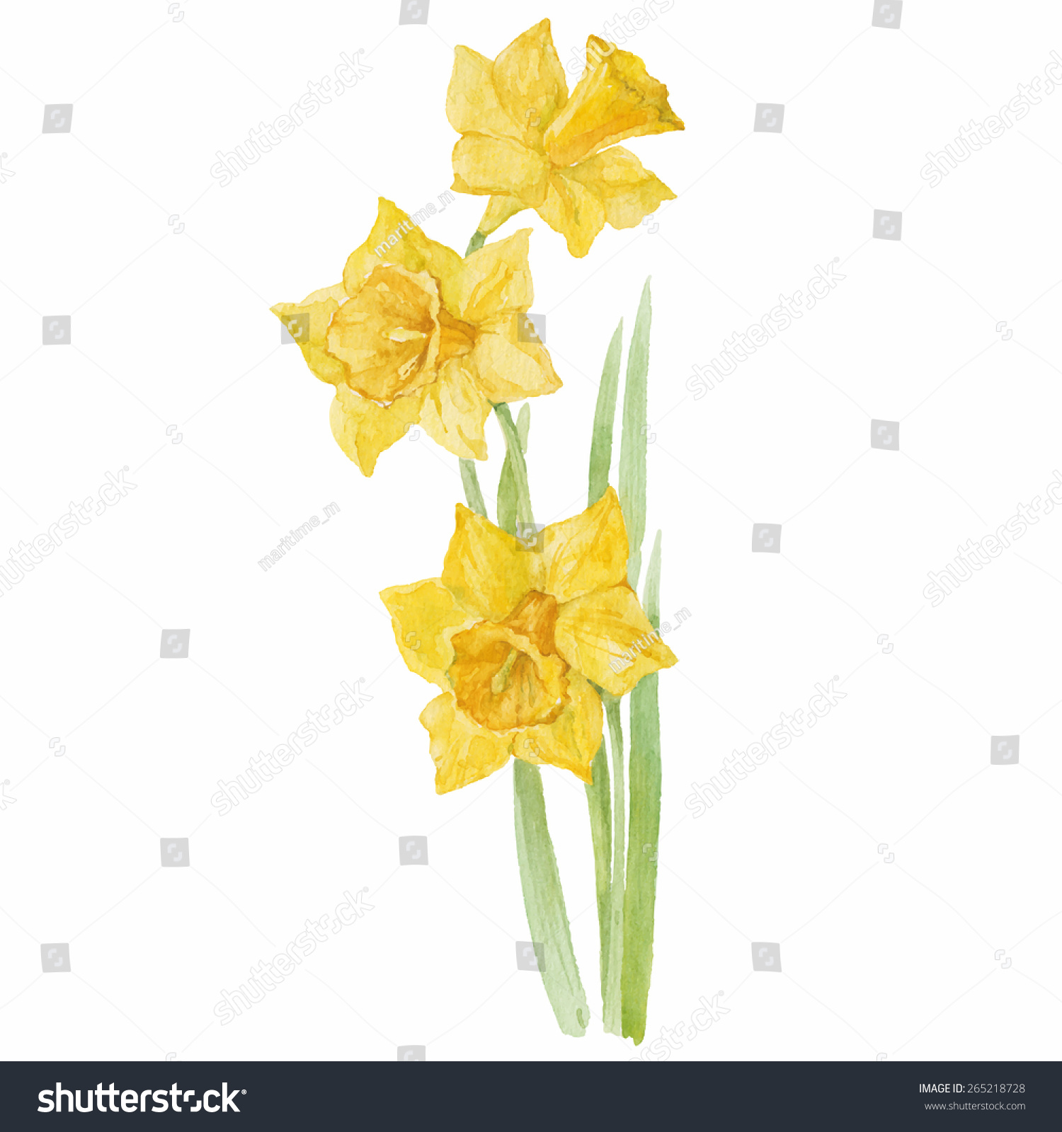 SVG of Spring flowers narcissus isolated on white background. Vector, watercolor hand drawn  illustration. svg