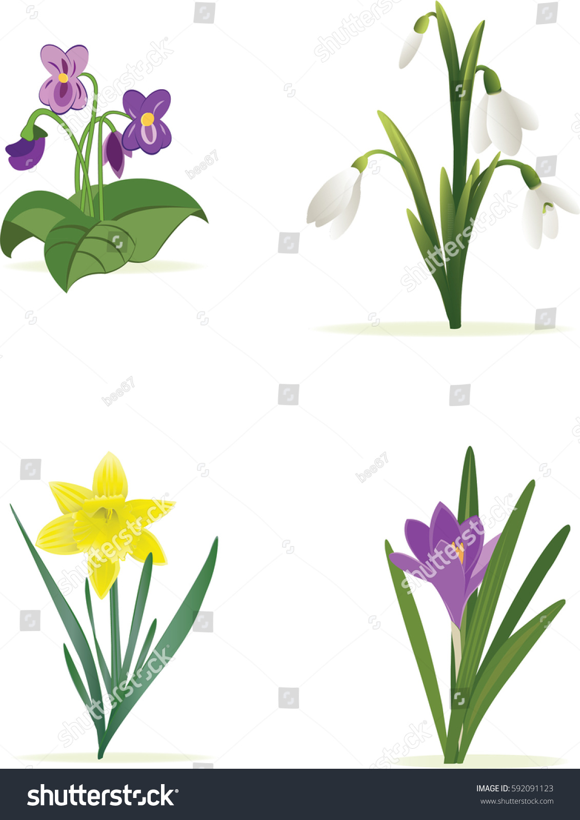 Spring Flowers Set Stock Vector 592091123 - Shutterstock