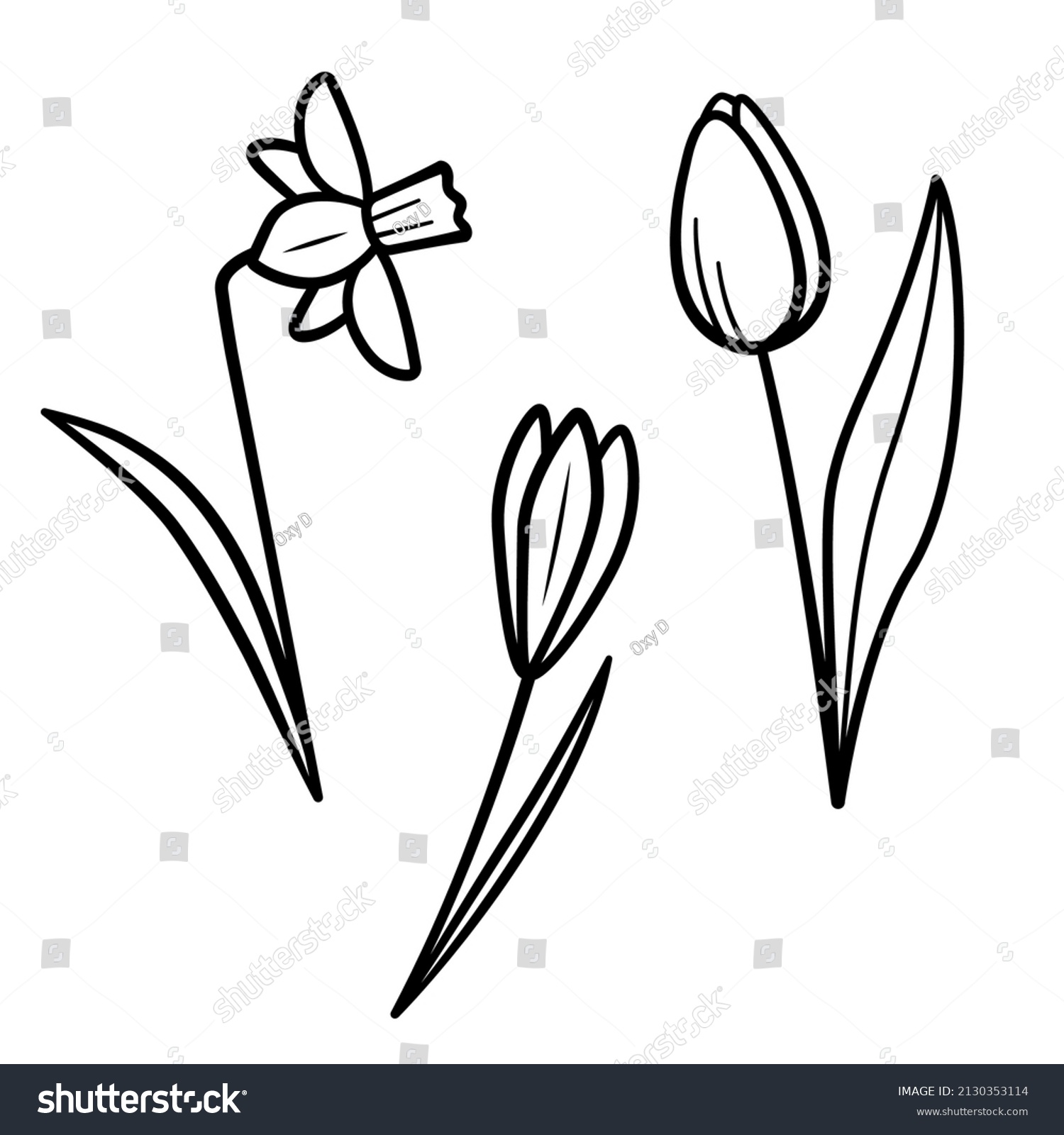 SVG of Spring flowers set. Hand drawn sketch icons of tulip, daffodil, crocus. Isolated vector illustration in doodle line style. svg
