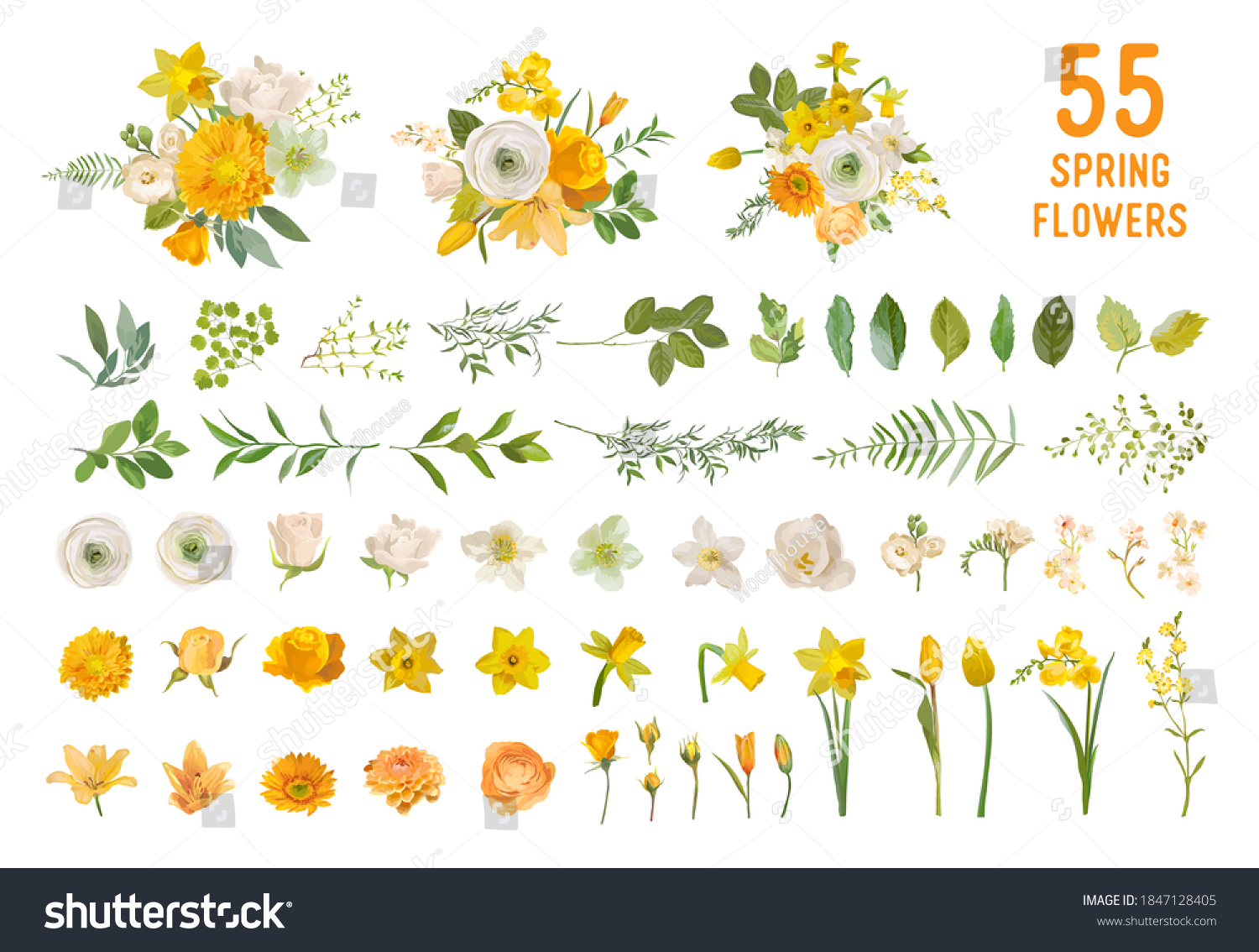 SVG of Spring garden flowers, yellow daffodil, mustard rose, white fresia, eucalyptus, greenery, fern. Vector design isolated elements set. Wedding summer bouquet collection for decoration, invitation, cover svg