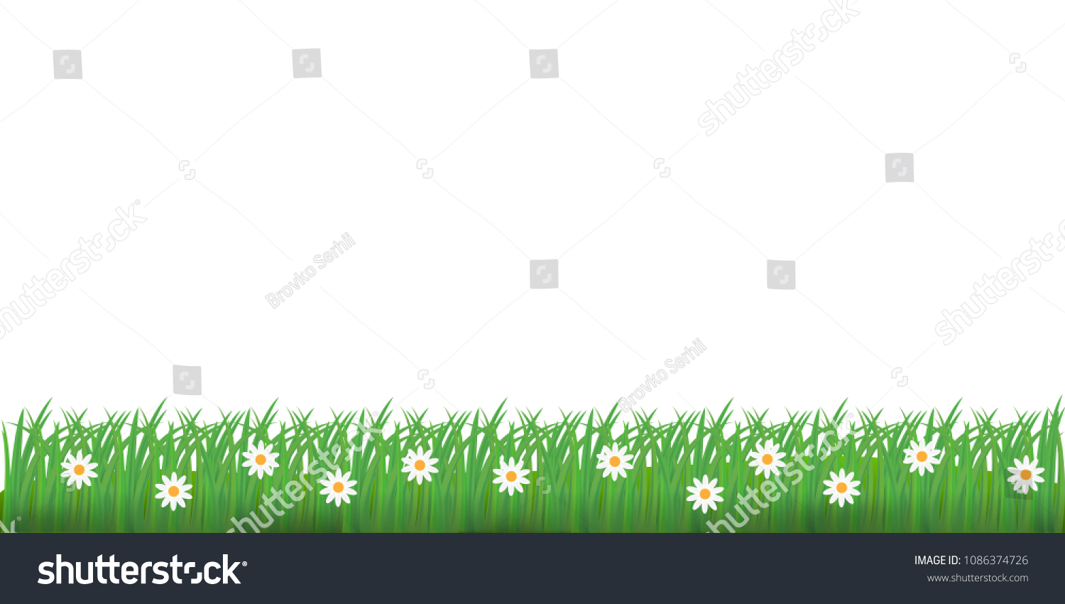 Spring Grass Flowers Border Vector Illustration Stock Vector (royalty 