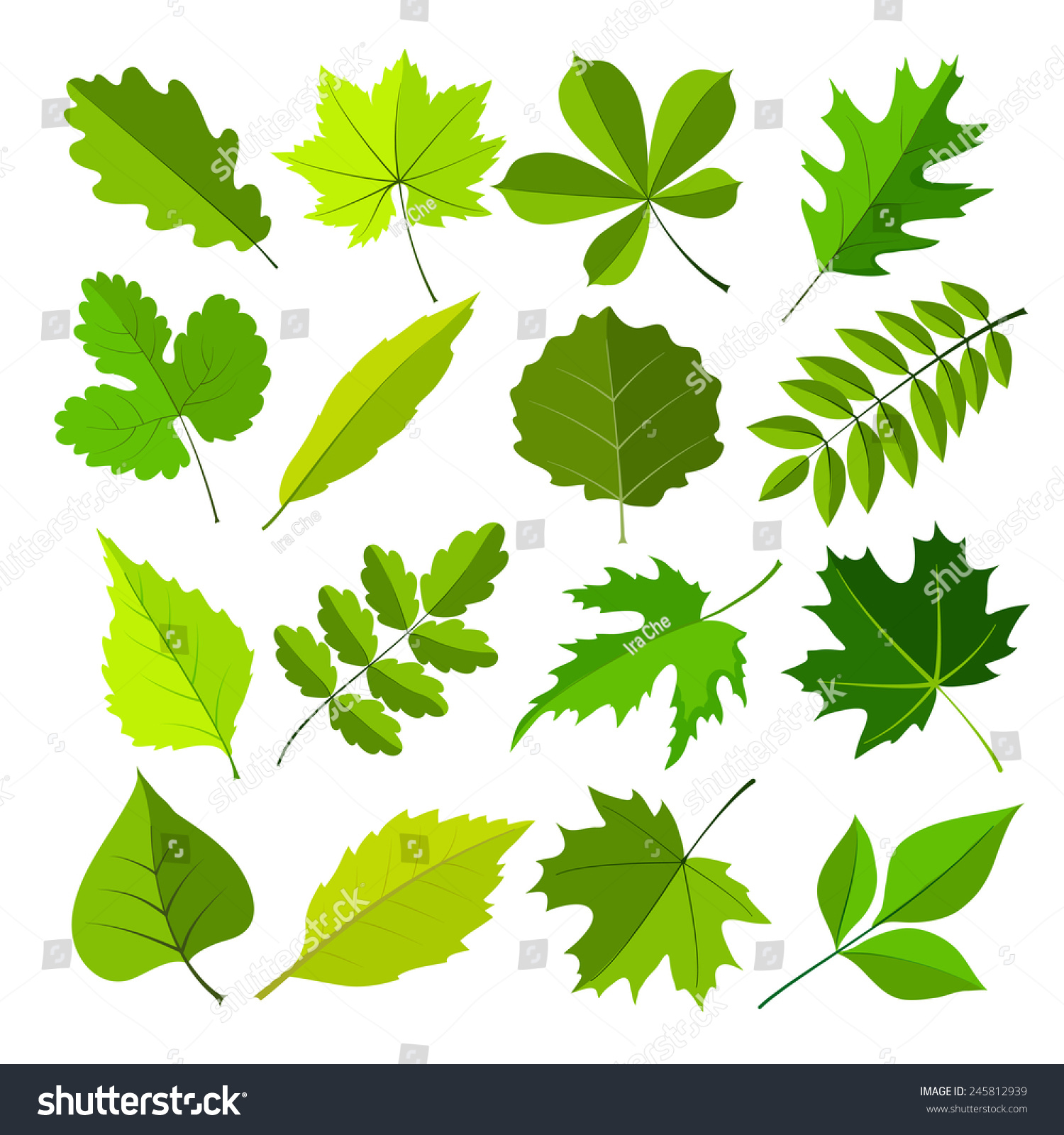 Spring Leaves Flat Style Set. Vector Illustration - 245812939 ...