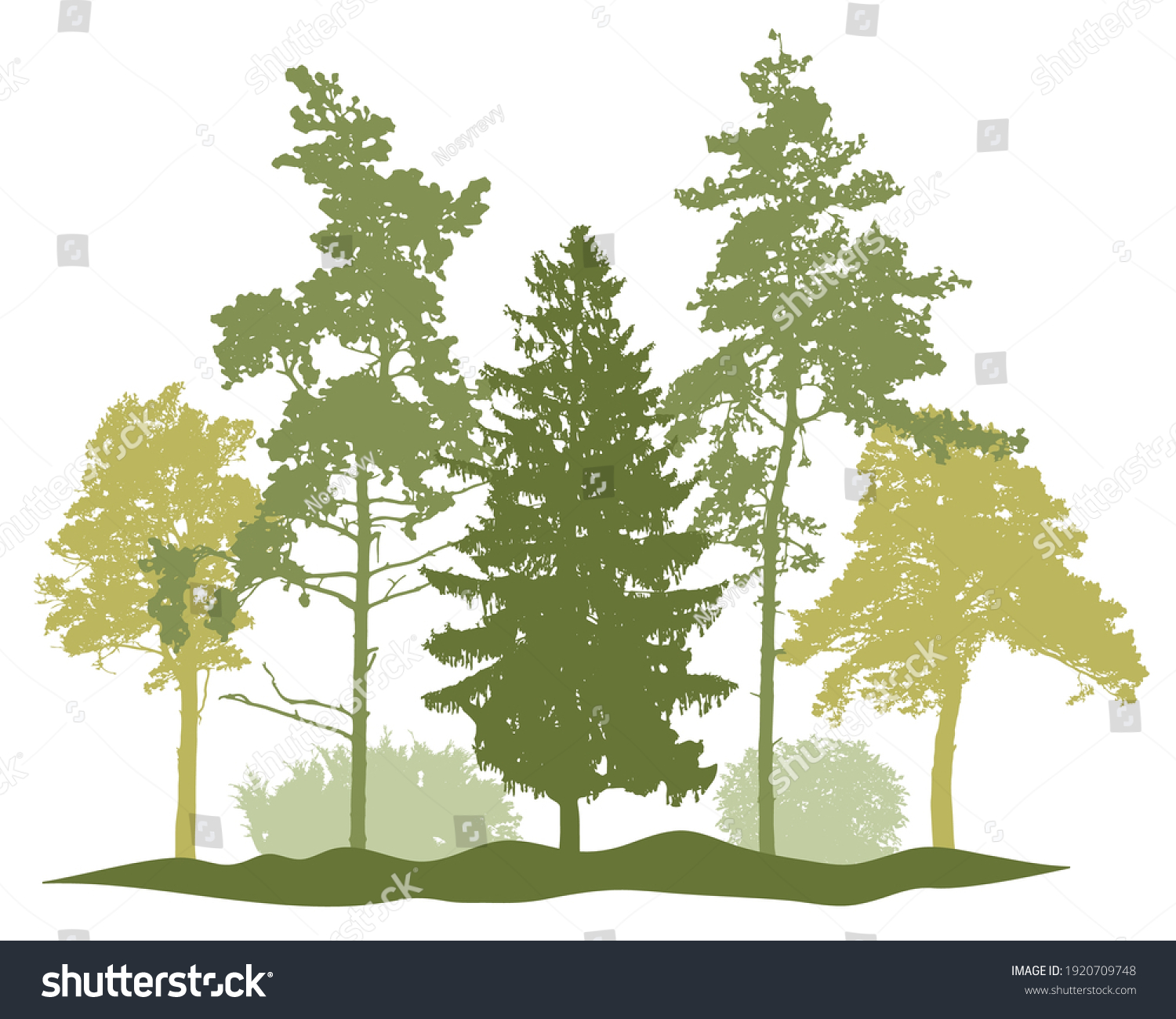 SVG of Spring season, silhouette of spruce trees, pine, bush, other trees. Beautiful nature, woodland. Vector illustration svg