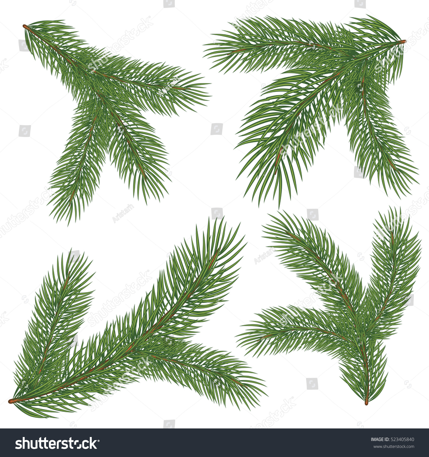 Spruce Branch Vector Illustration Isolated On Stock Vector 523405840