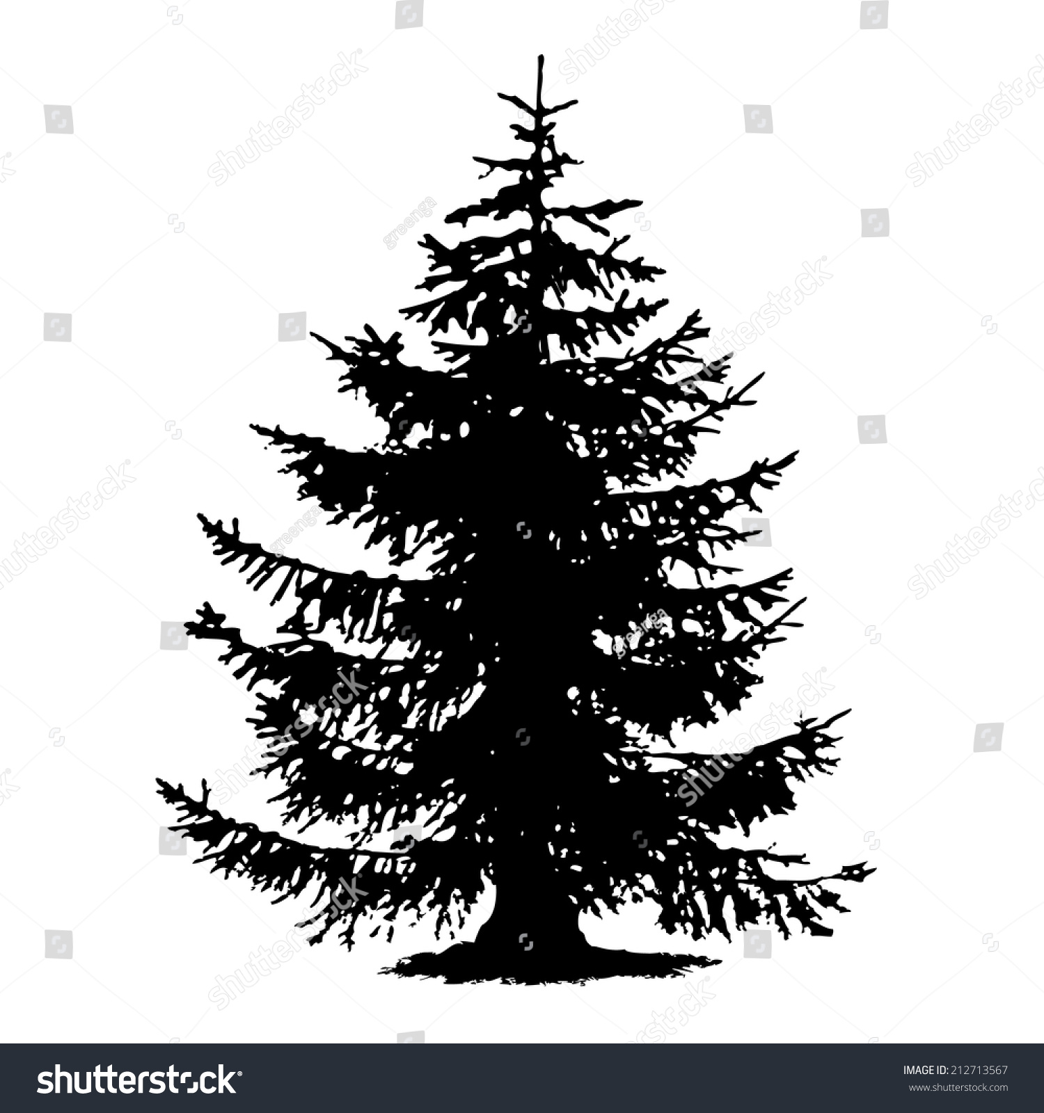 Spruce Full Size Tree Isolated Rough Stock Vector 212713567 - Shutterstock