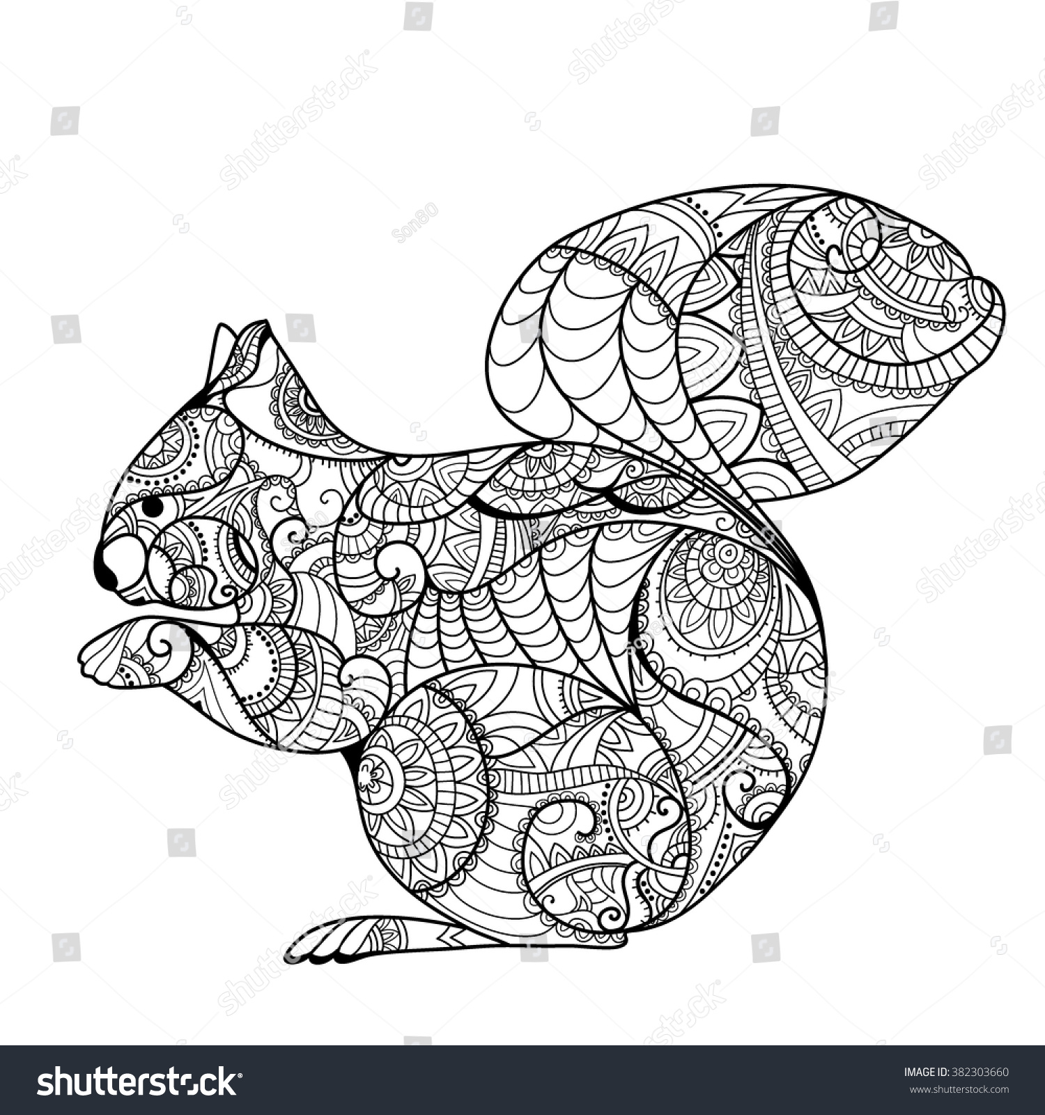 Squirrel Coloring book Hand drawn funny squirrel with nut for adult anti stress Coloring