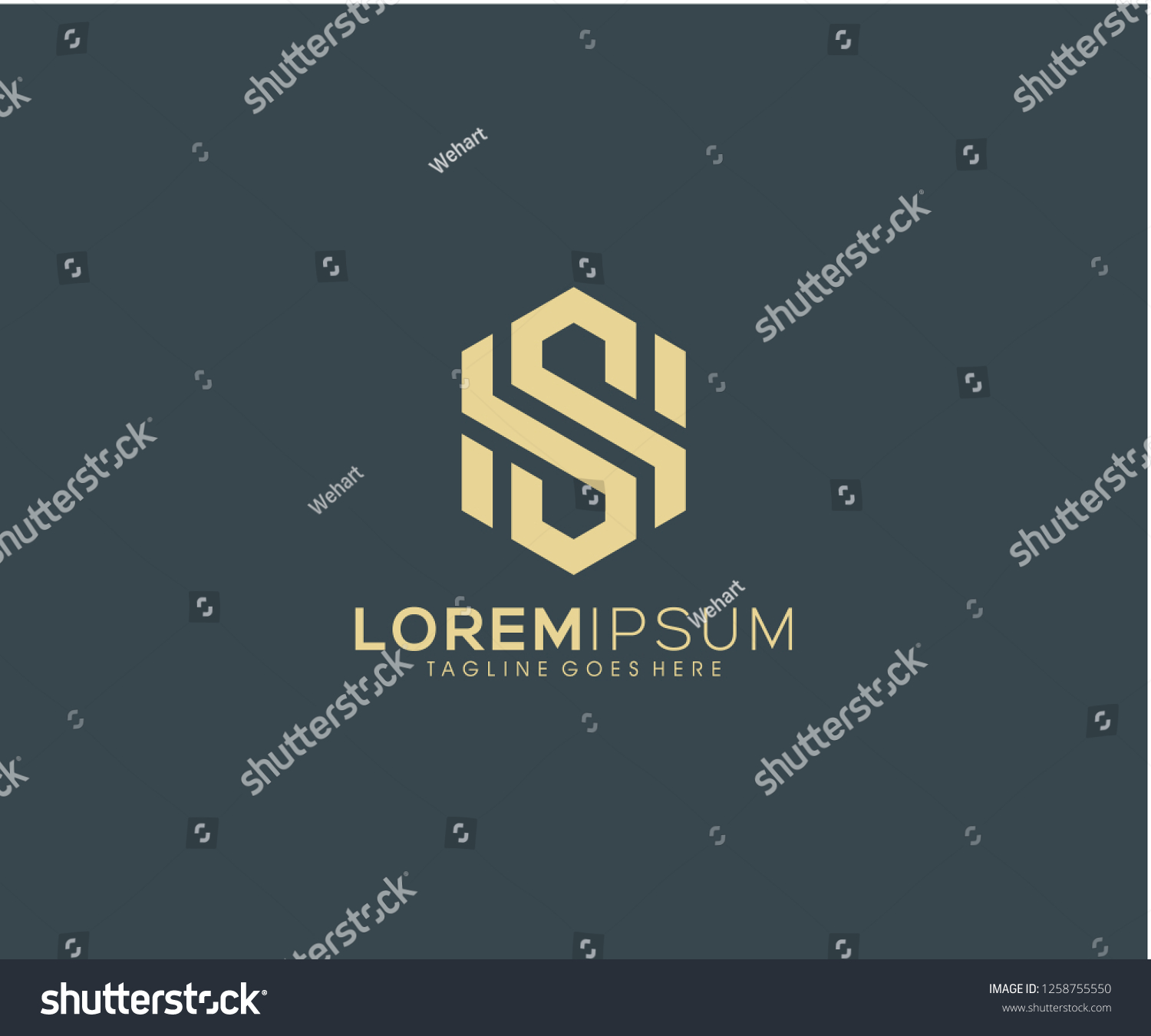 Ss Initial Vector Hexagon Monogram Template Stock Vector (Royalty Free ...