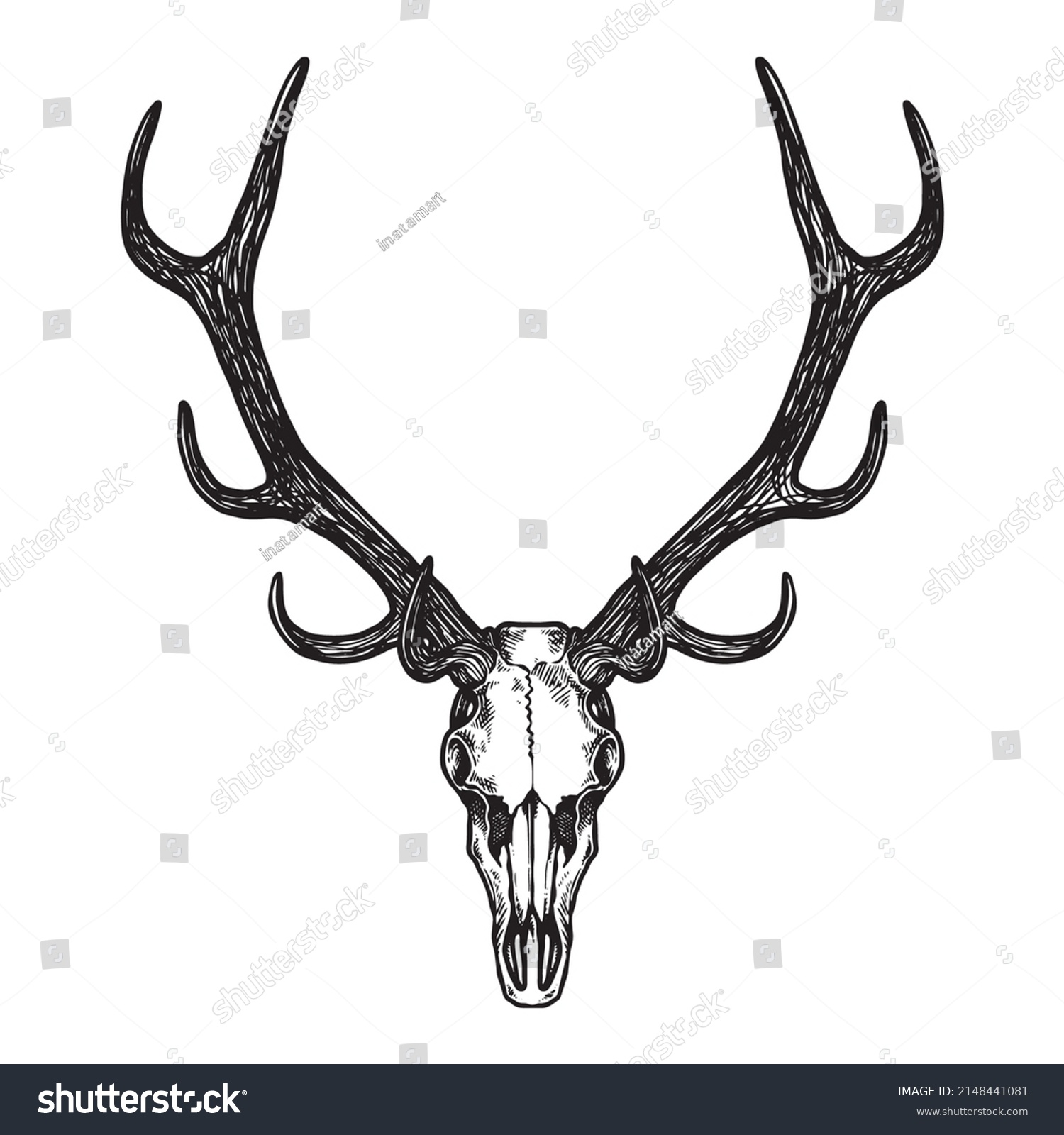 Stag Skull Vector Hand Drawn Illustration Stock Vector (Royalty Free ...