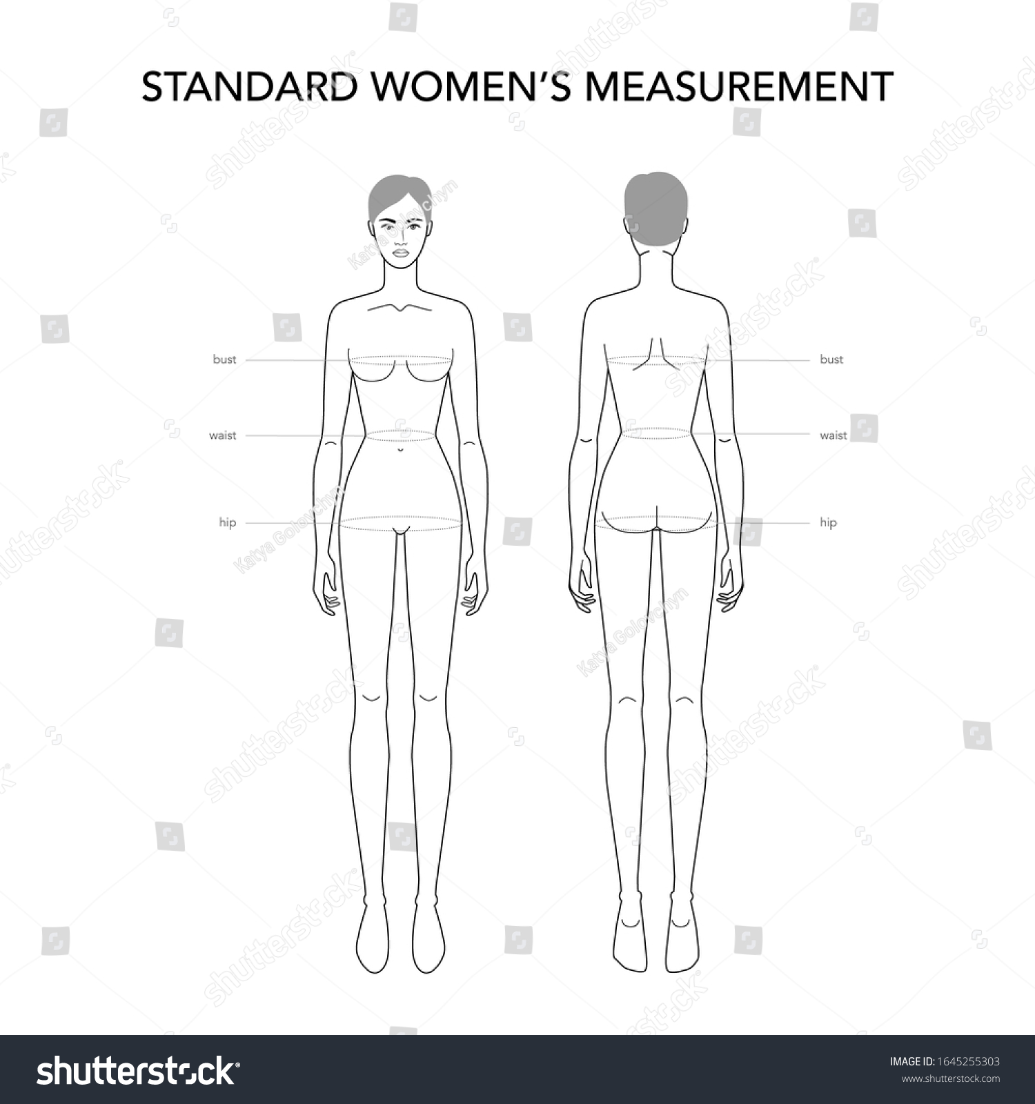 Standard Womens Measurements Fashion Terminology Illustration