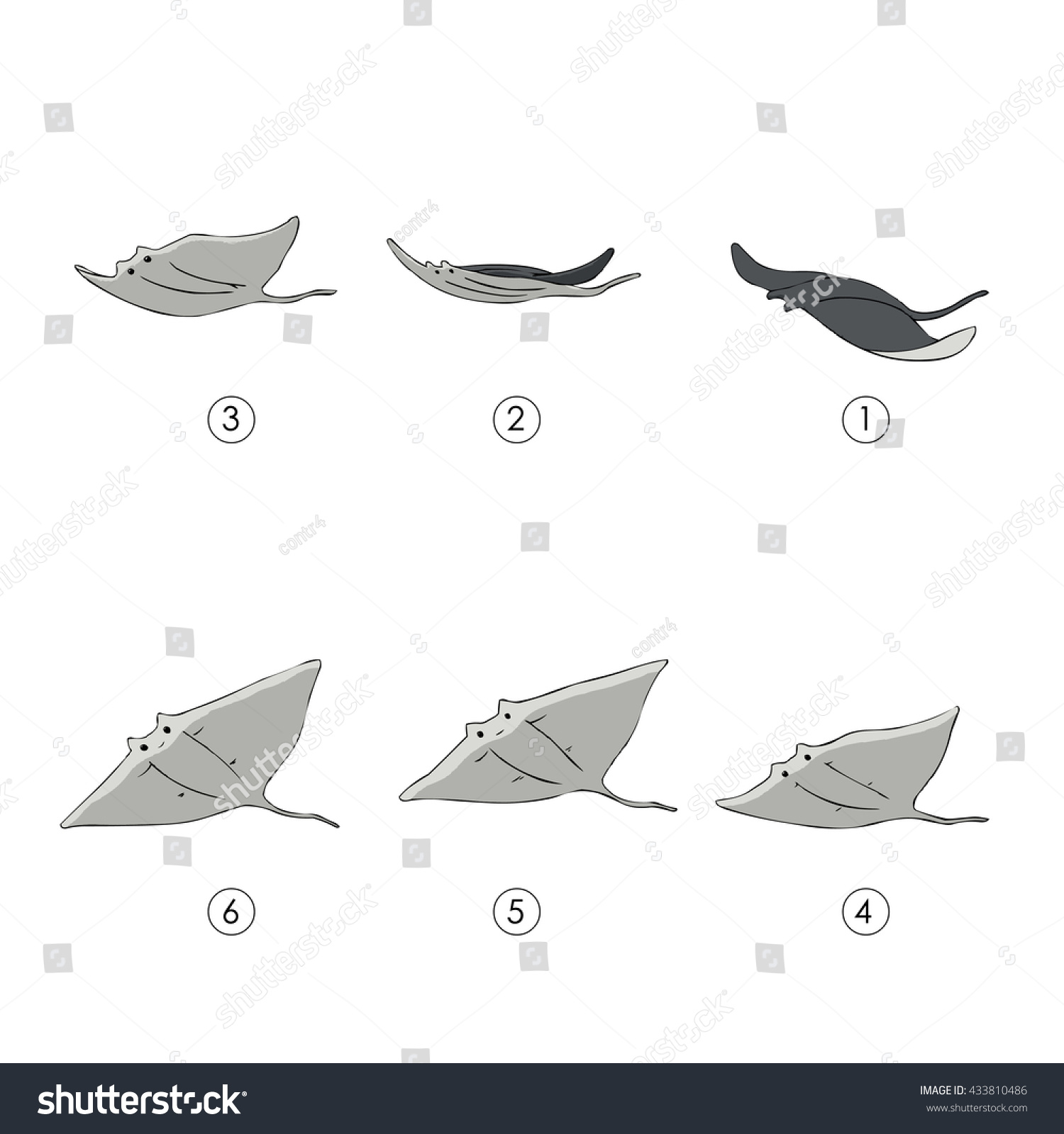 Stingray Animation Stock Vector Royalty Free