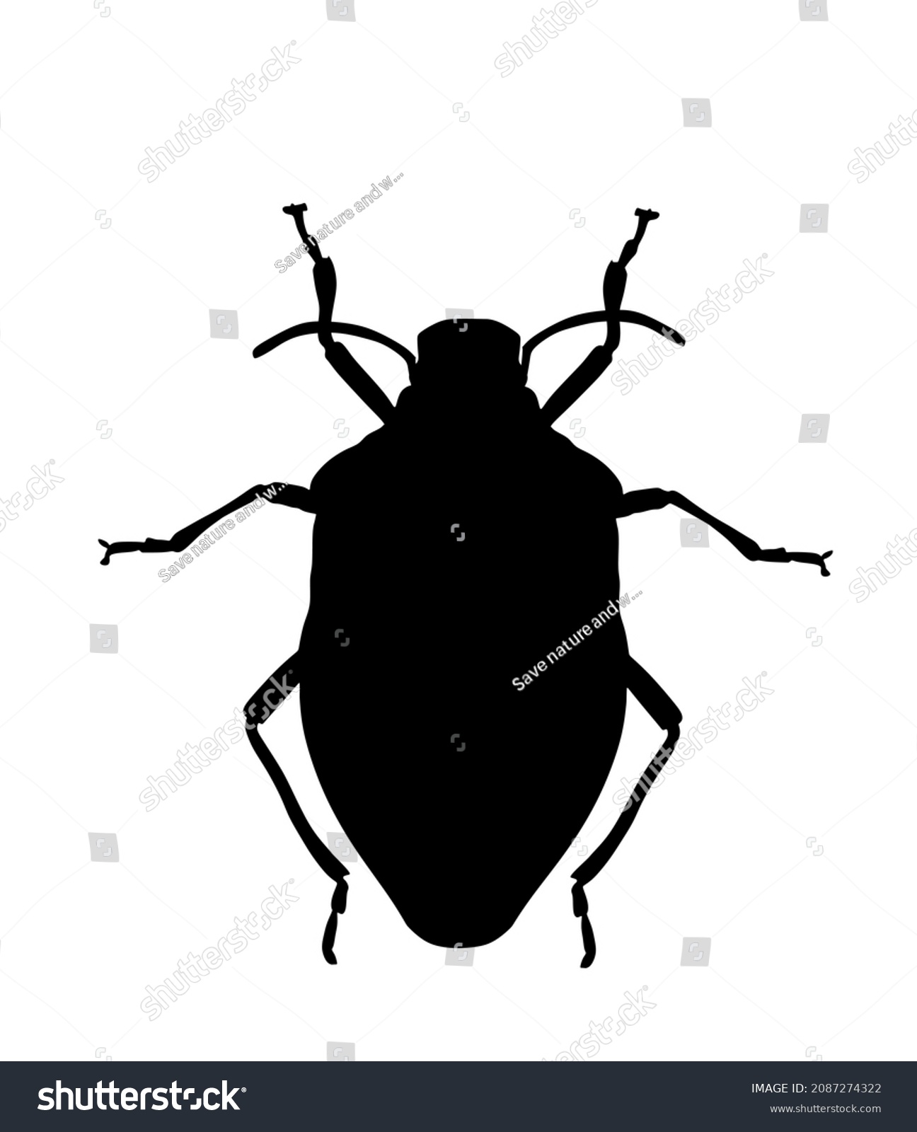 Stink Bug Vector Silhouette Illustration Isolated Stock Vector (Royalty ...