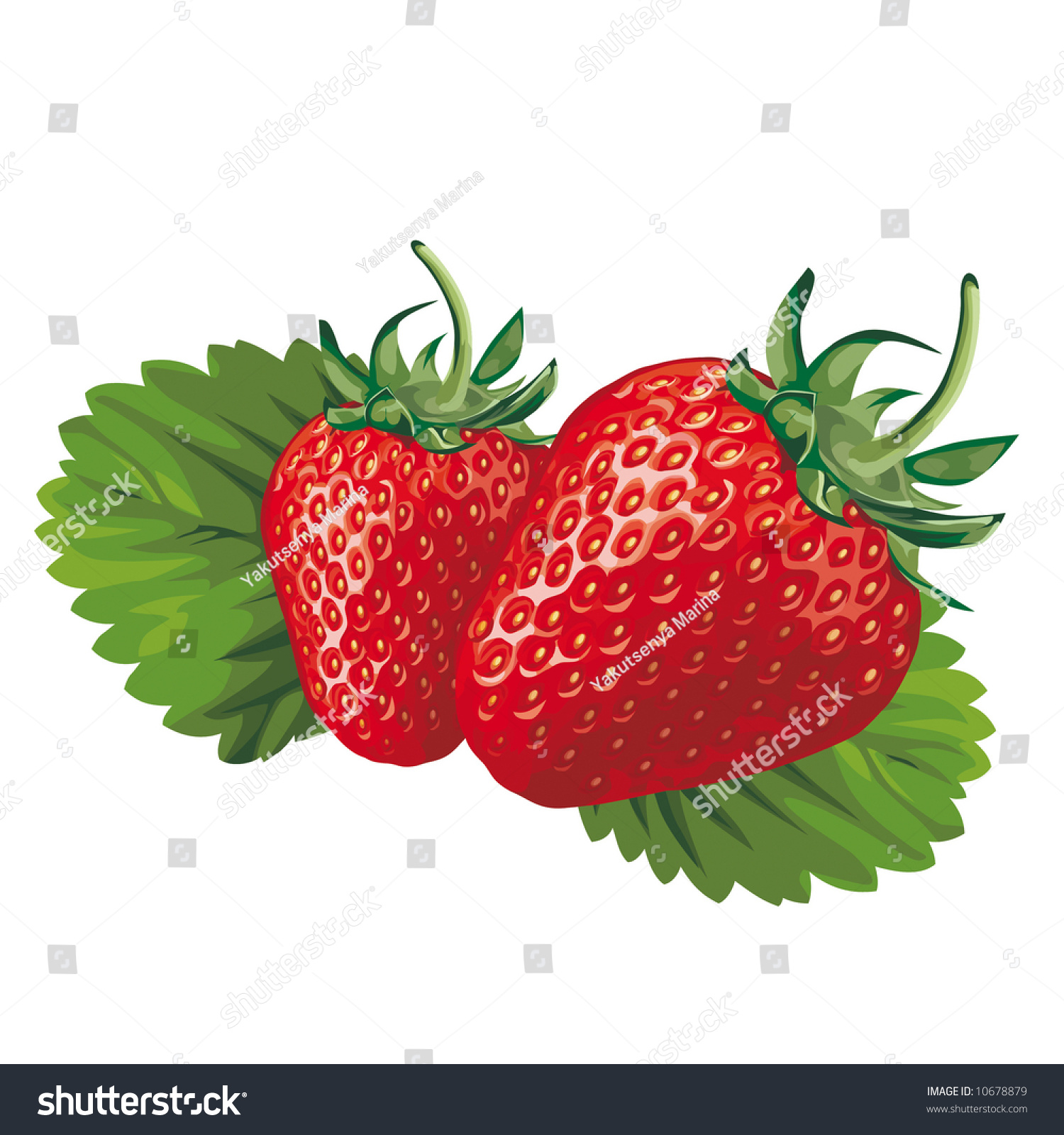 Strawberry Stock Vector 10678879 - Shutterstock