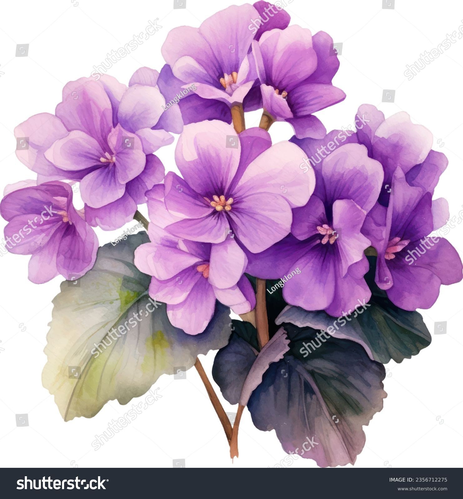 SVG of Streptocarpus Saintpaulia Watercolor floral arrangements with beautiful African Violet flower, Watercolor floral bouquet. svg