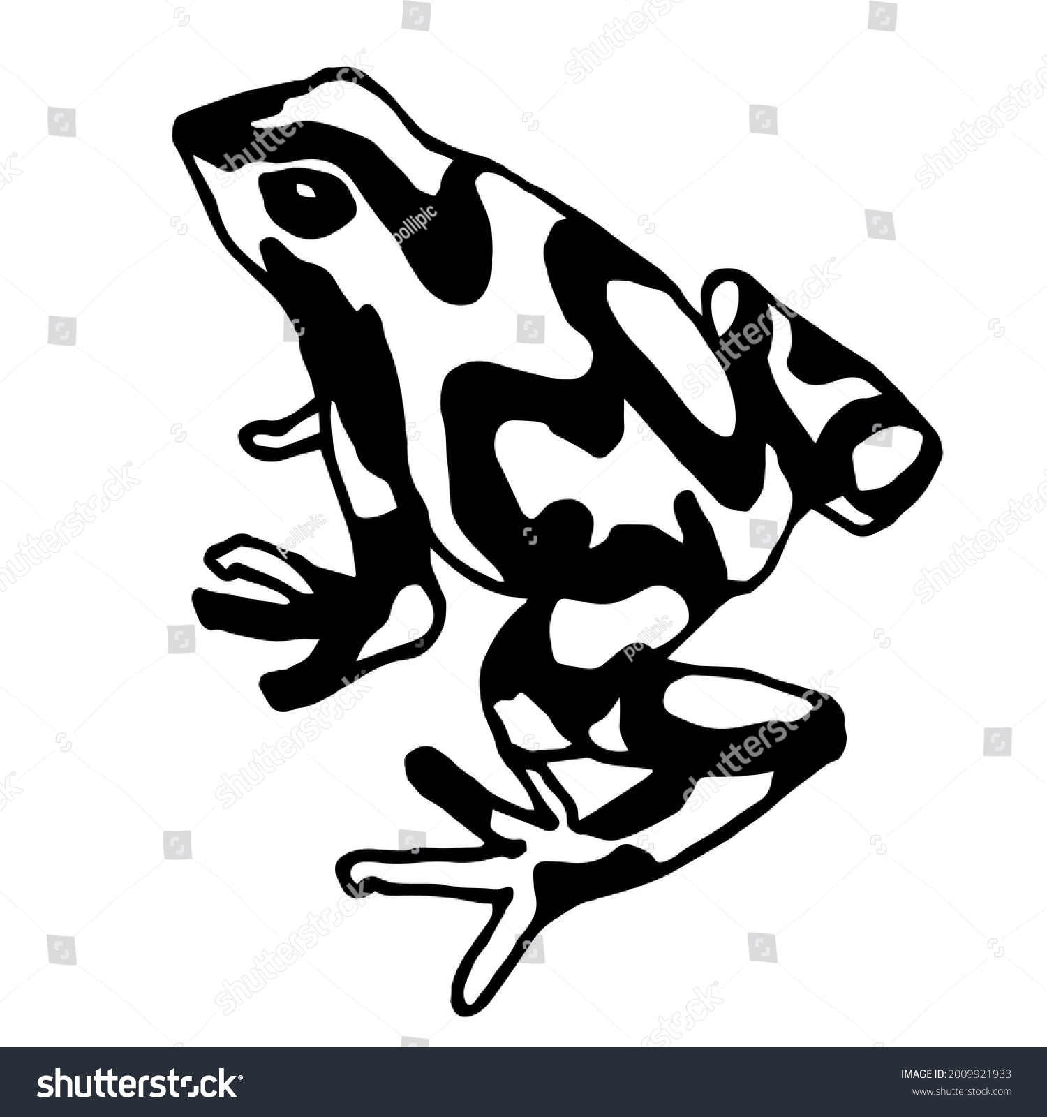 Striped Frog Black White Doodle Vector Stock Vector (Royalty Free ...