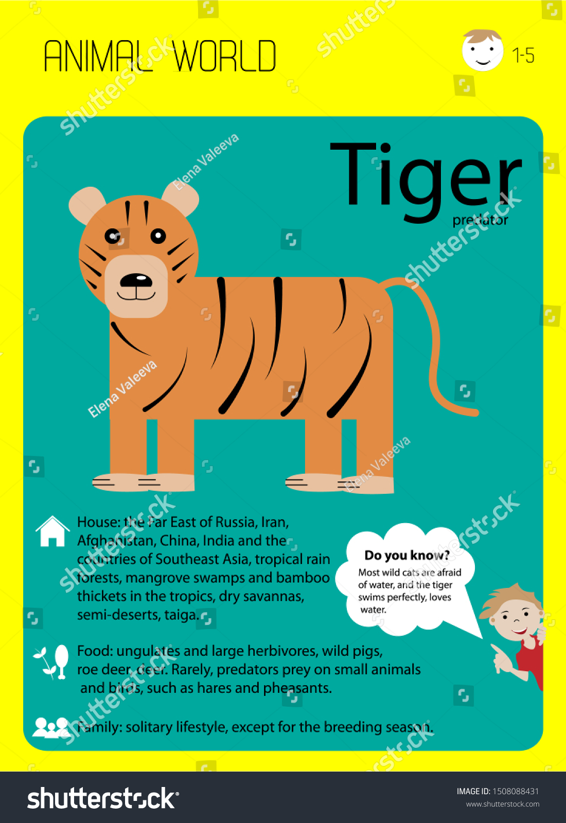 Striped Tiger Educational Card Children Interesting Stock Vector Royalty Free