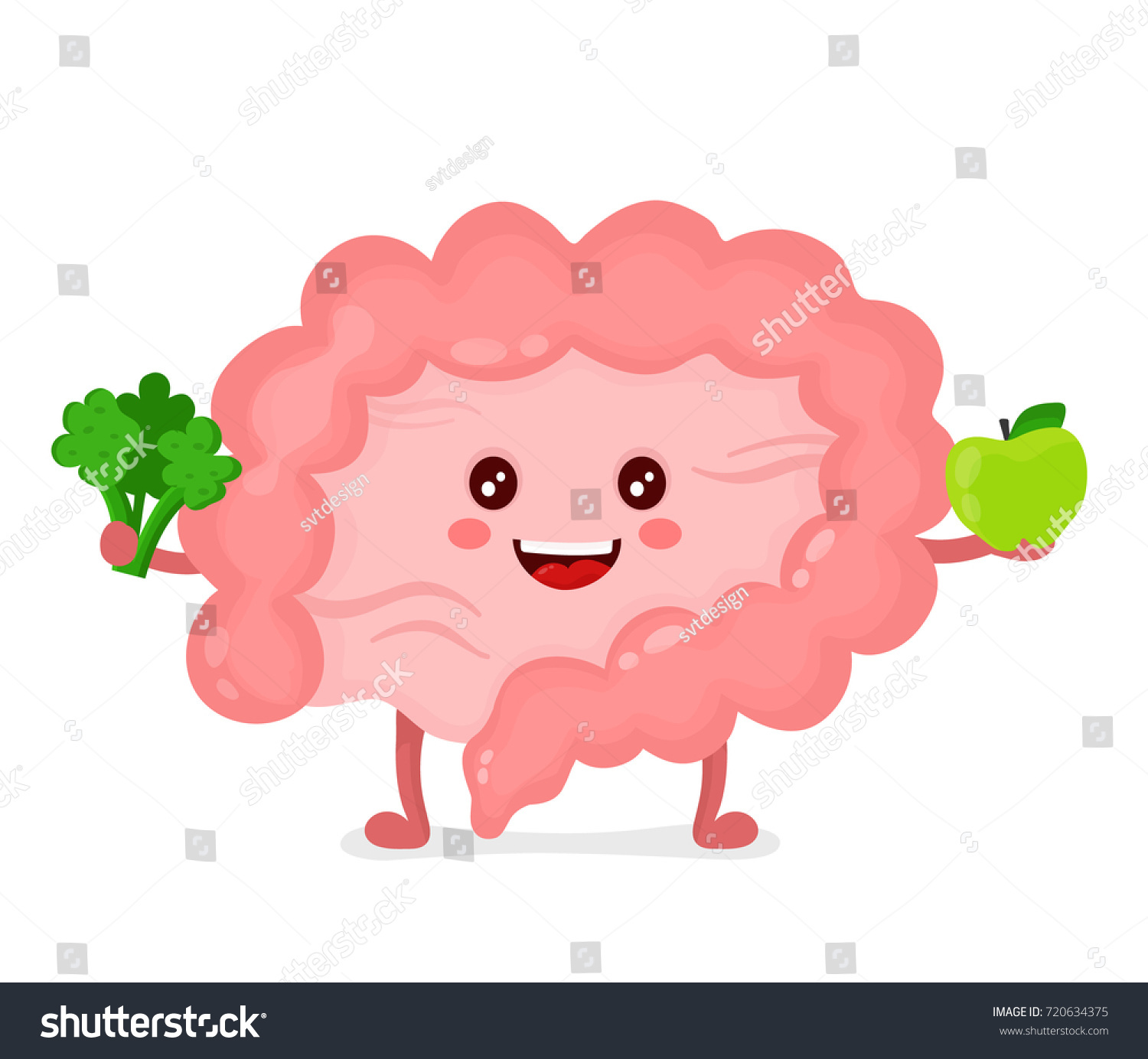 Strong Healthy Happy Intestine Character Broccoli Stock Vector ...