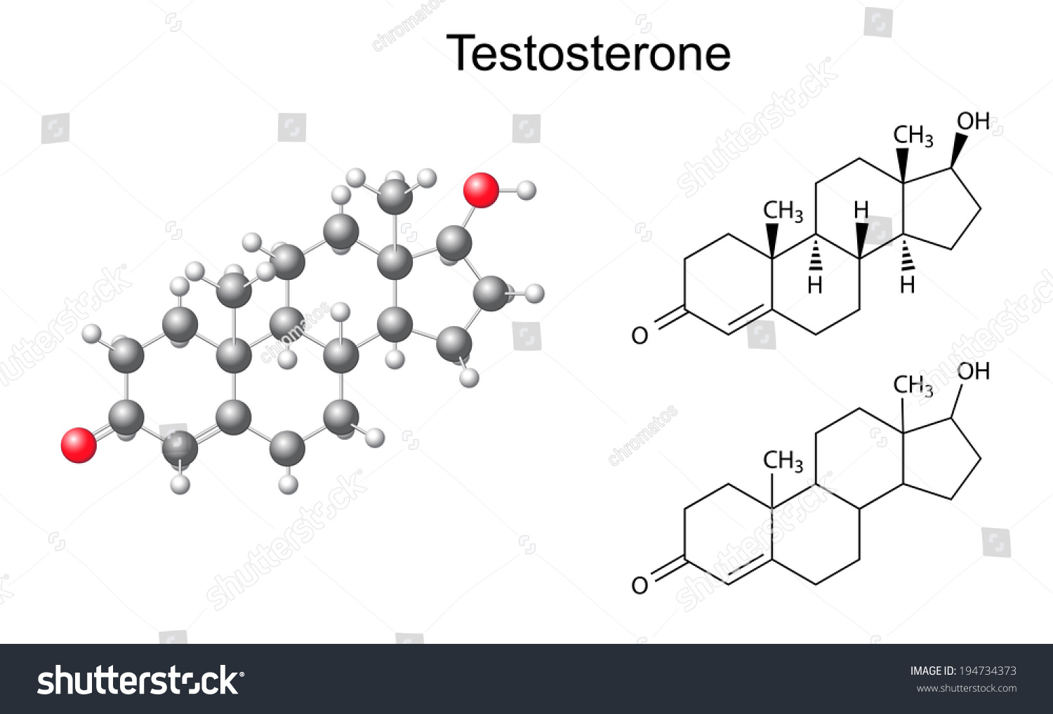 Structural Chemical Formulas Model Testosterone Molecule Stock Vector ...