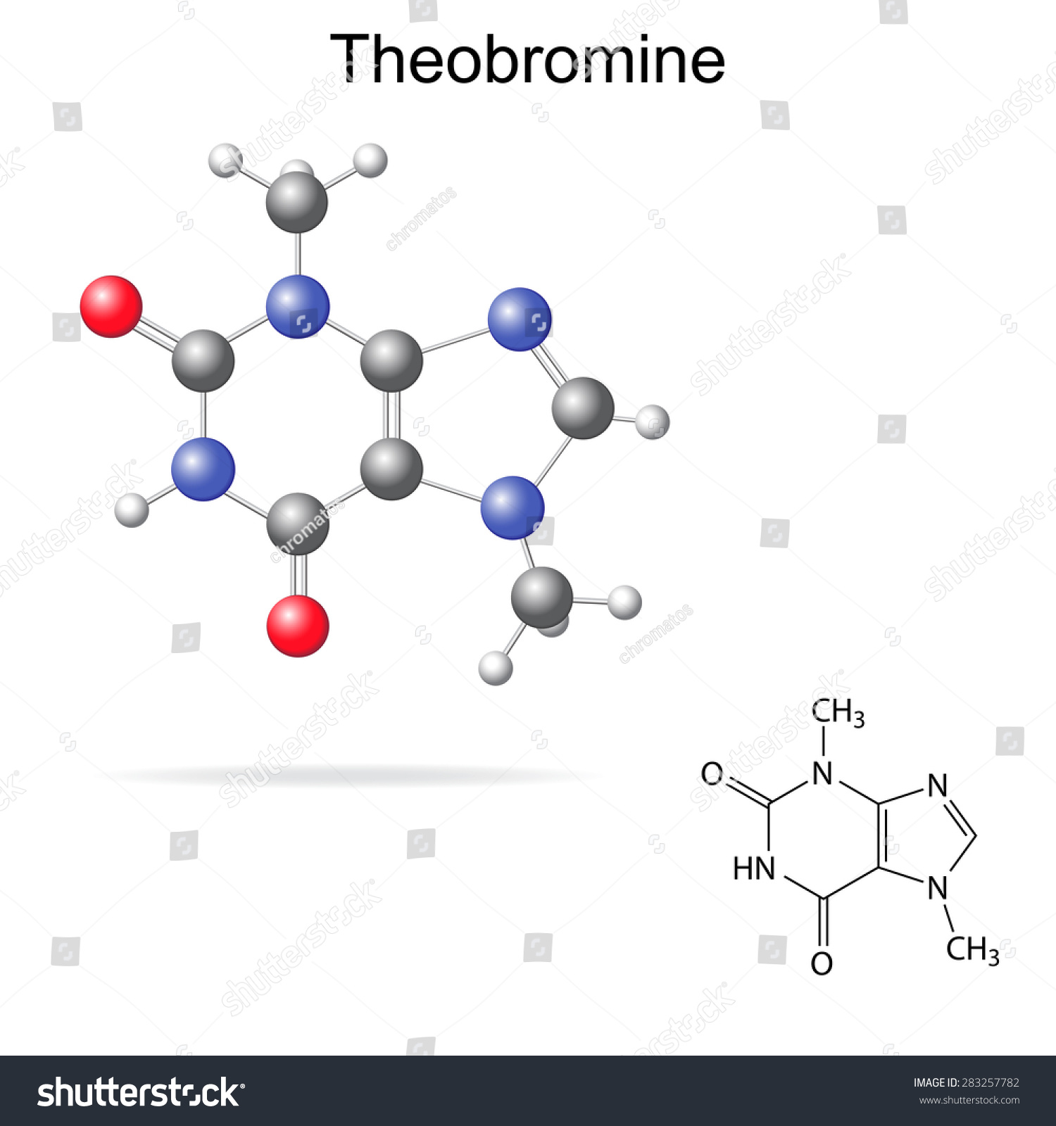 SVG of Structural model and chemical formula of theobromine molecule, 2d and 3d isolated vector, eps 8 svg