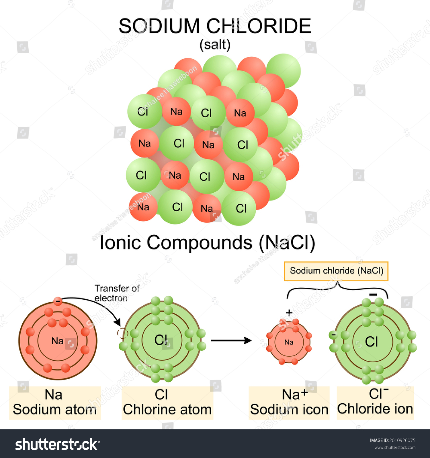 Structure Sodium Chloride Saltnacl Modelvector Illustrationchemistry ...