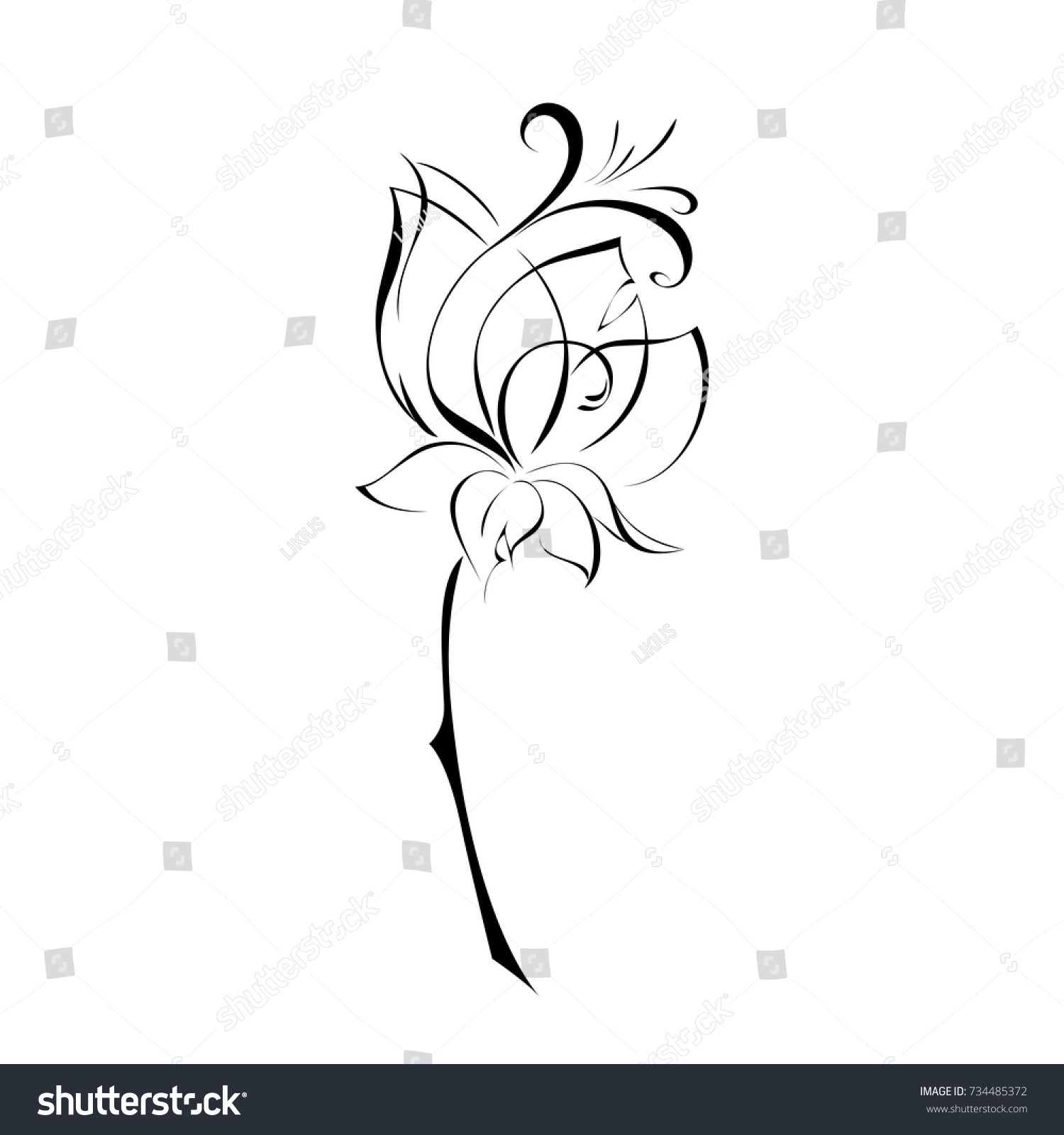 Stylized Flower Black Lines On White Stock Vector (Royalty Free) 734485372