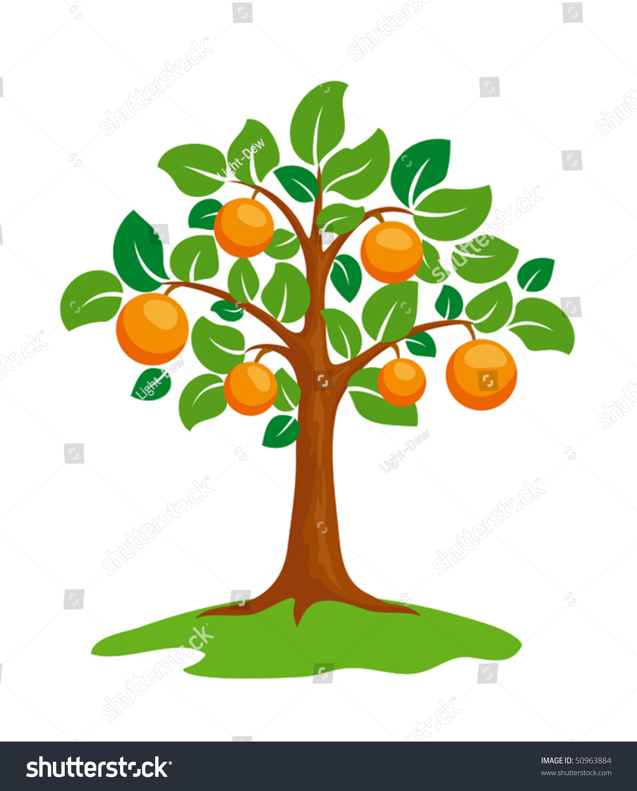 Stylized Orange-Tree. Eps8 Vector. - 50963884 : Shutterstock