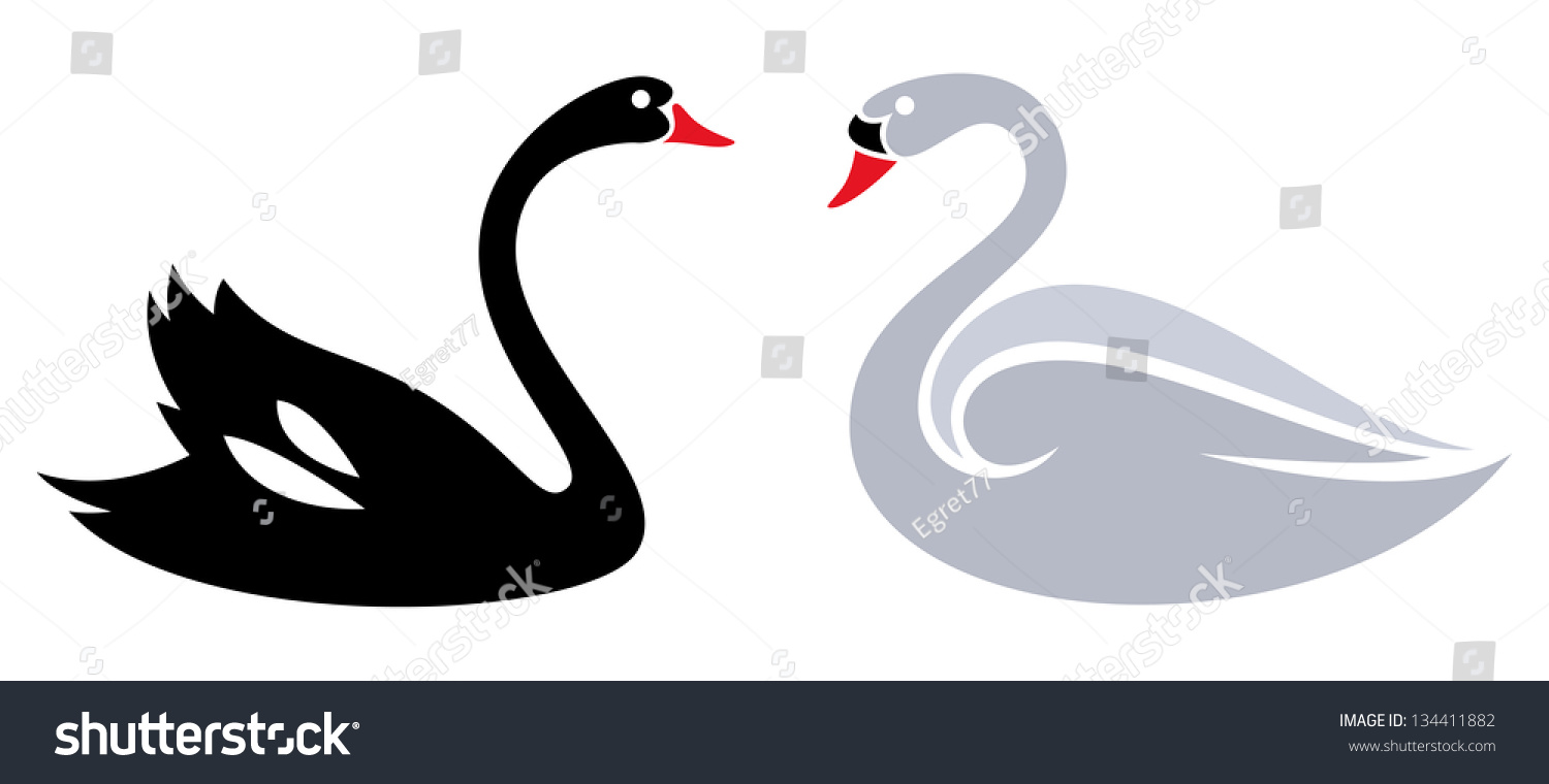 Stylized Swans --- Mute Swan And Black Swan Stock Vector Illustration ...