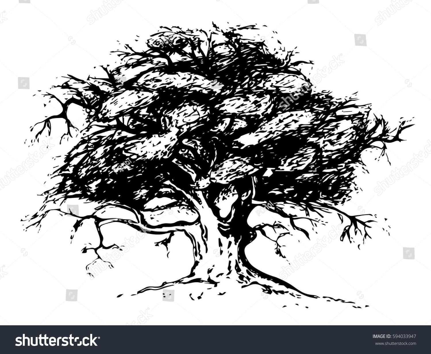 Stylized Vector Tree Illustration Transparent Background Stock Vector Royalty Free 594033947