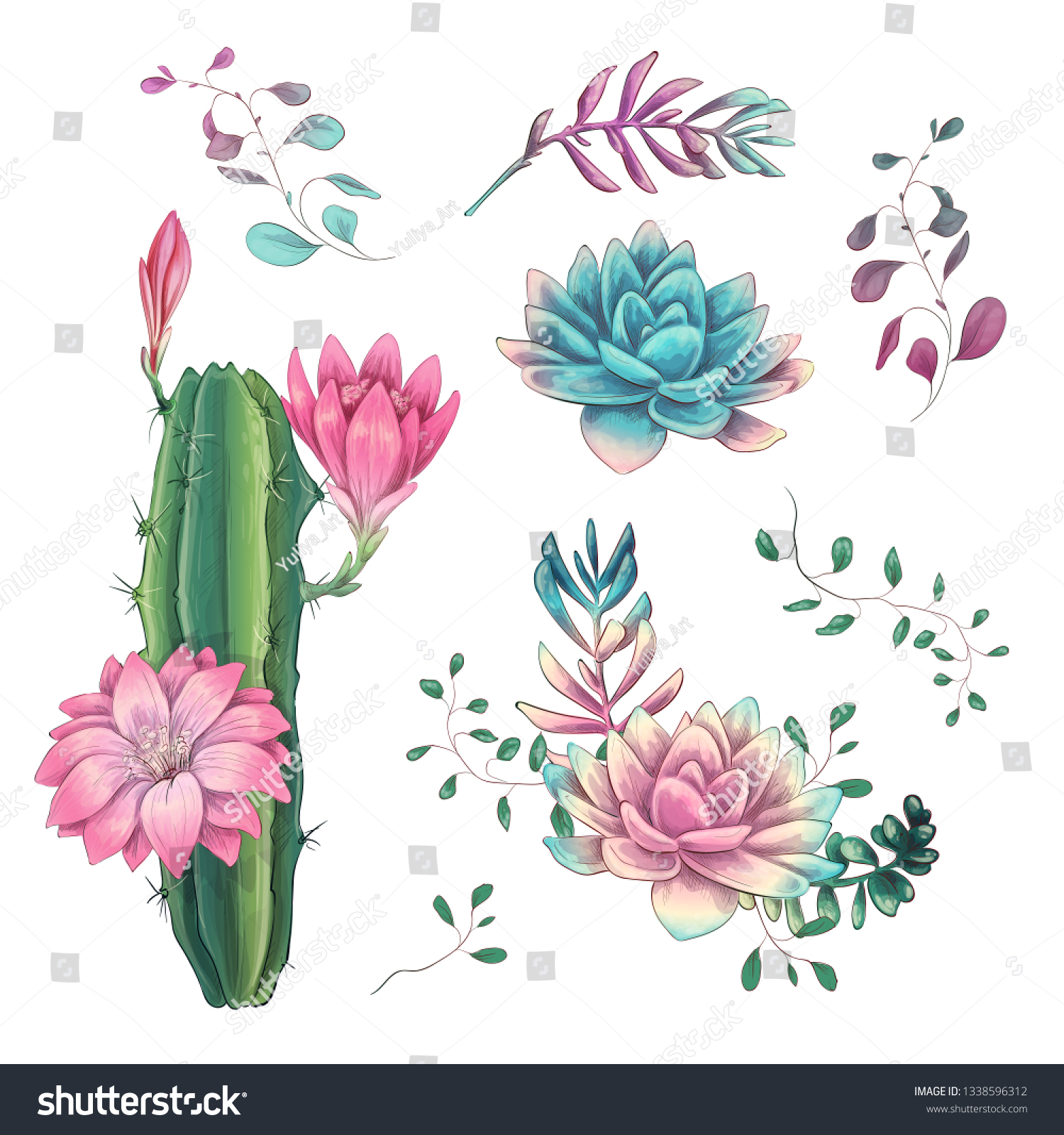 Succulents Cacti Hand Drawn On White Vector De Stock Libre De Regalías 1338596312 Shutterstock 7604