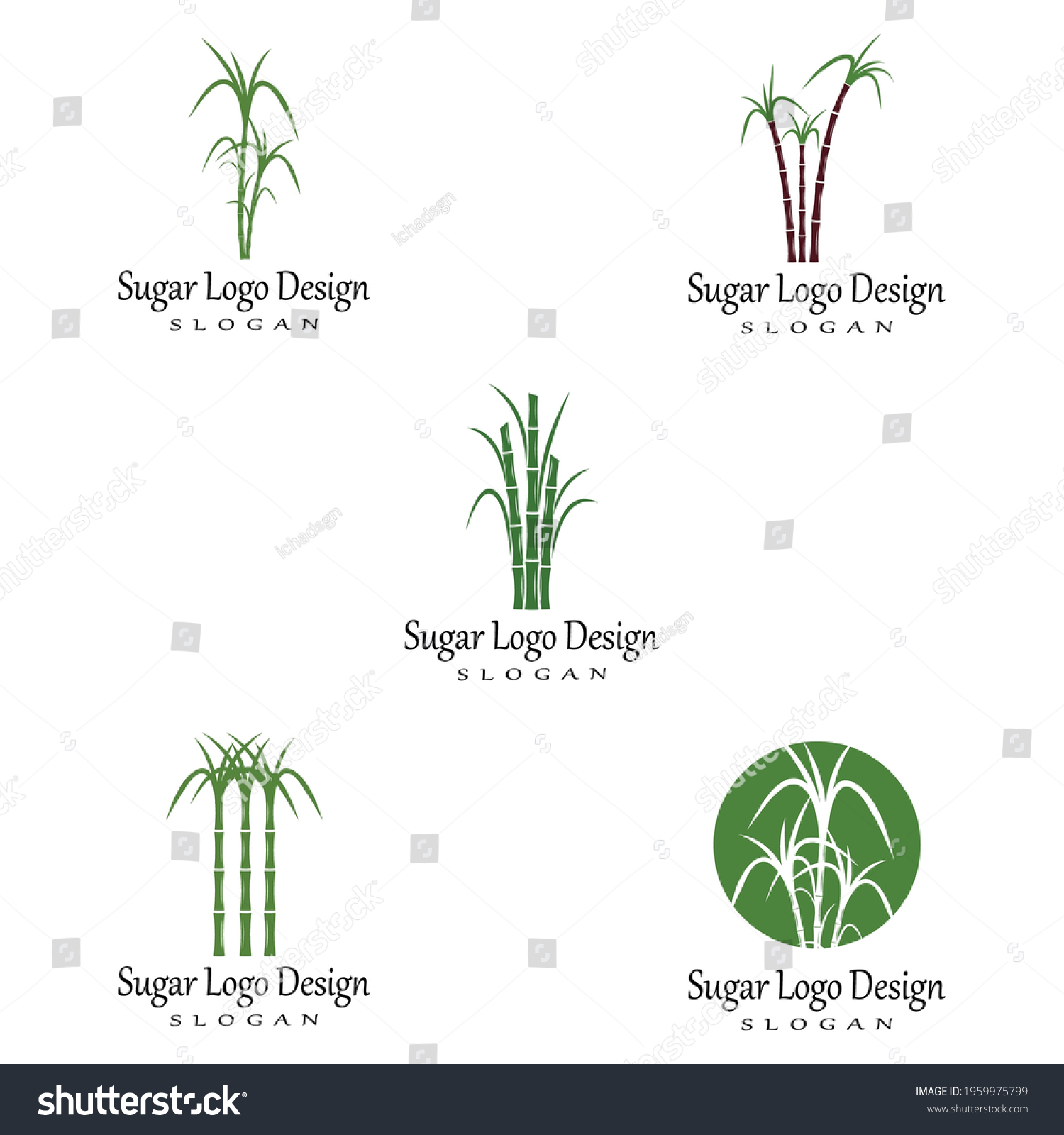 Sugar Cane Logo Template Vector Symbol Stock Vector (Royalty Free ...