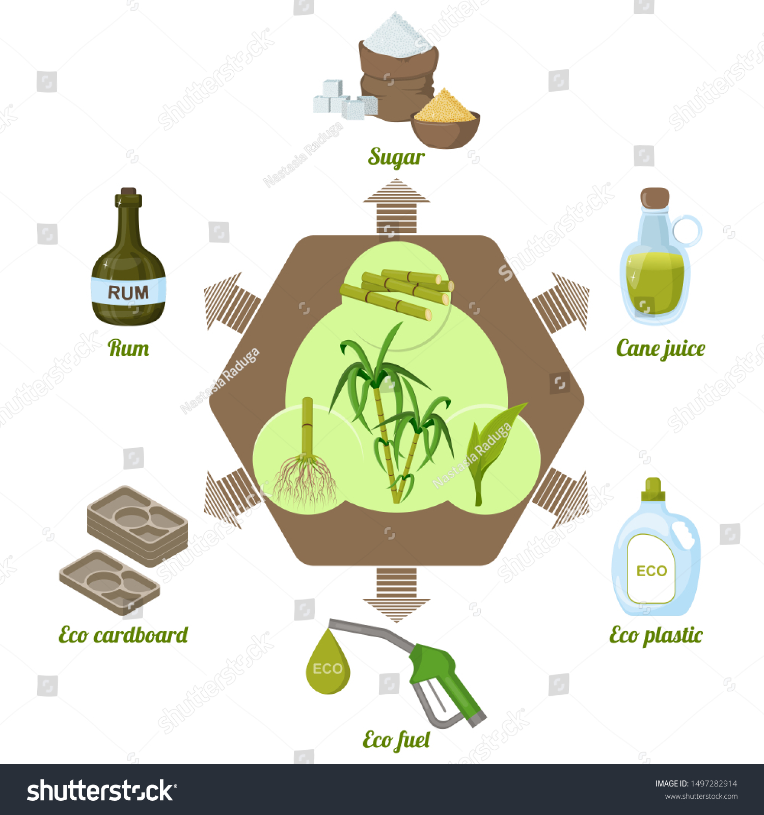 Sugarcane Products Thereof Processing Infographics Plant Stock Vector sugarcane-products-thereof-processing-infographics-plant-stock-vector